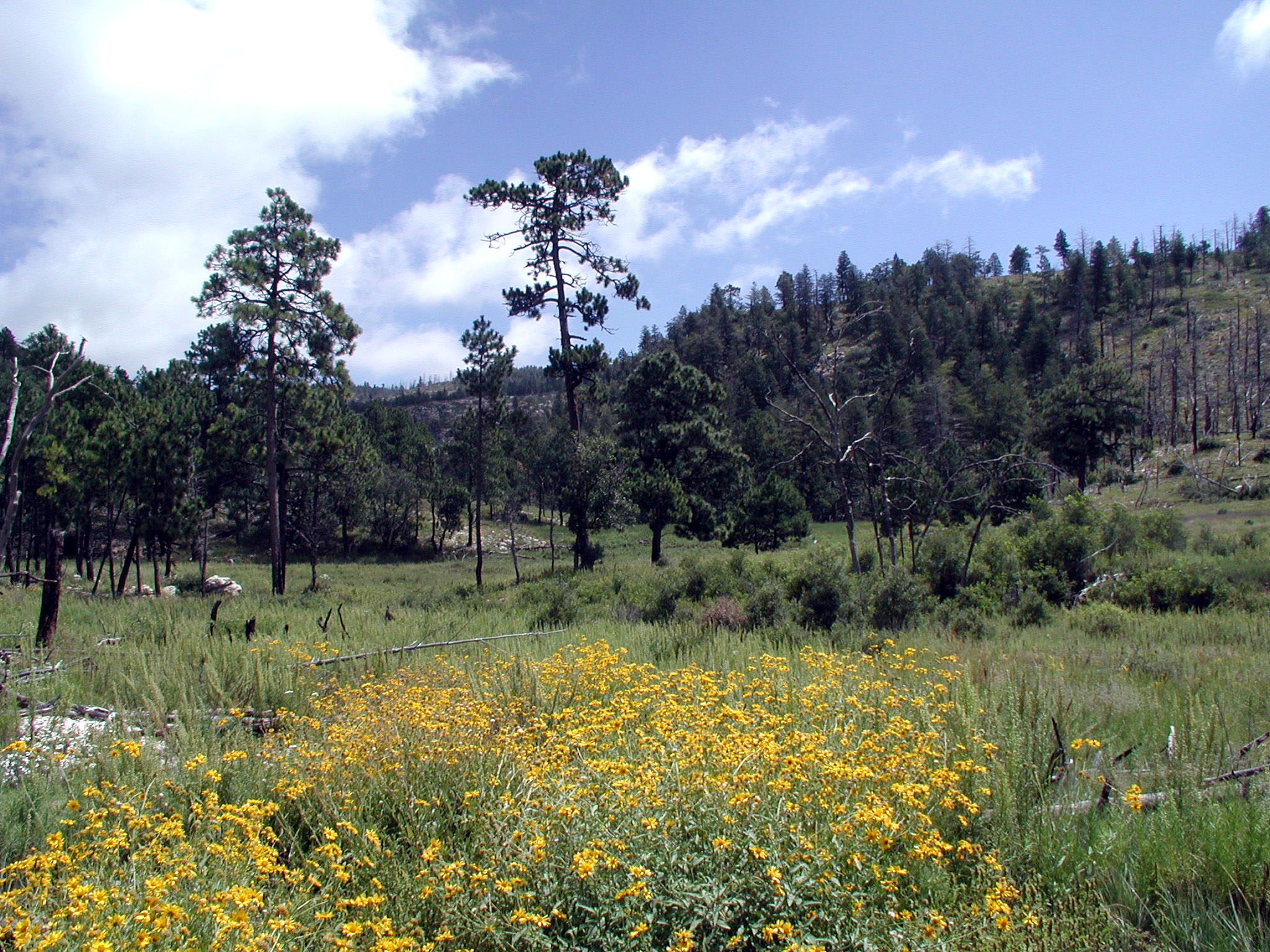 Guadalupe Mountains National Park