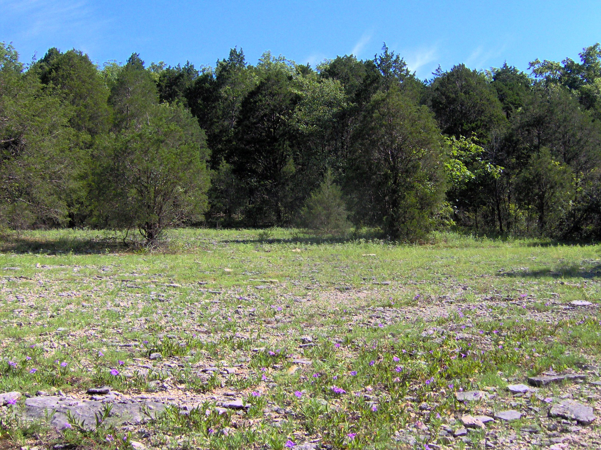 Vine Cedar Glade State Natural Area State Park