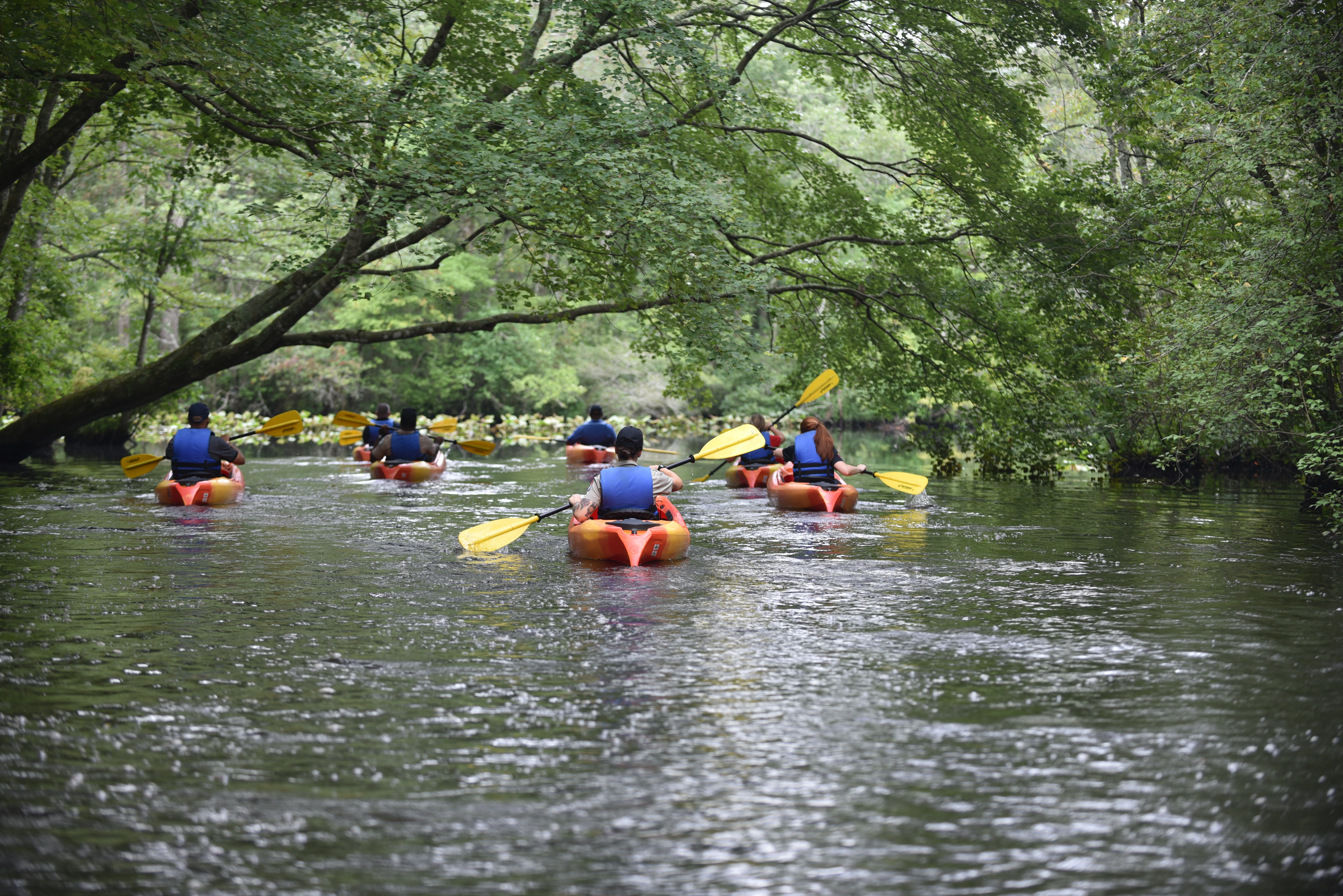 Pocomoke River State Park