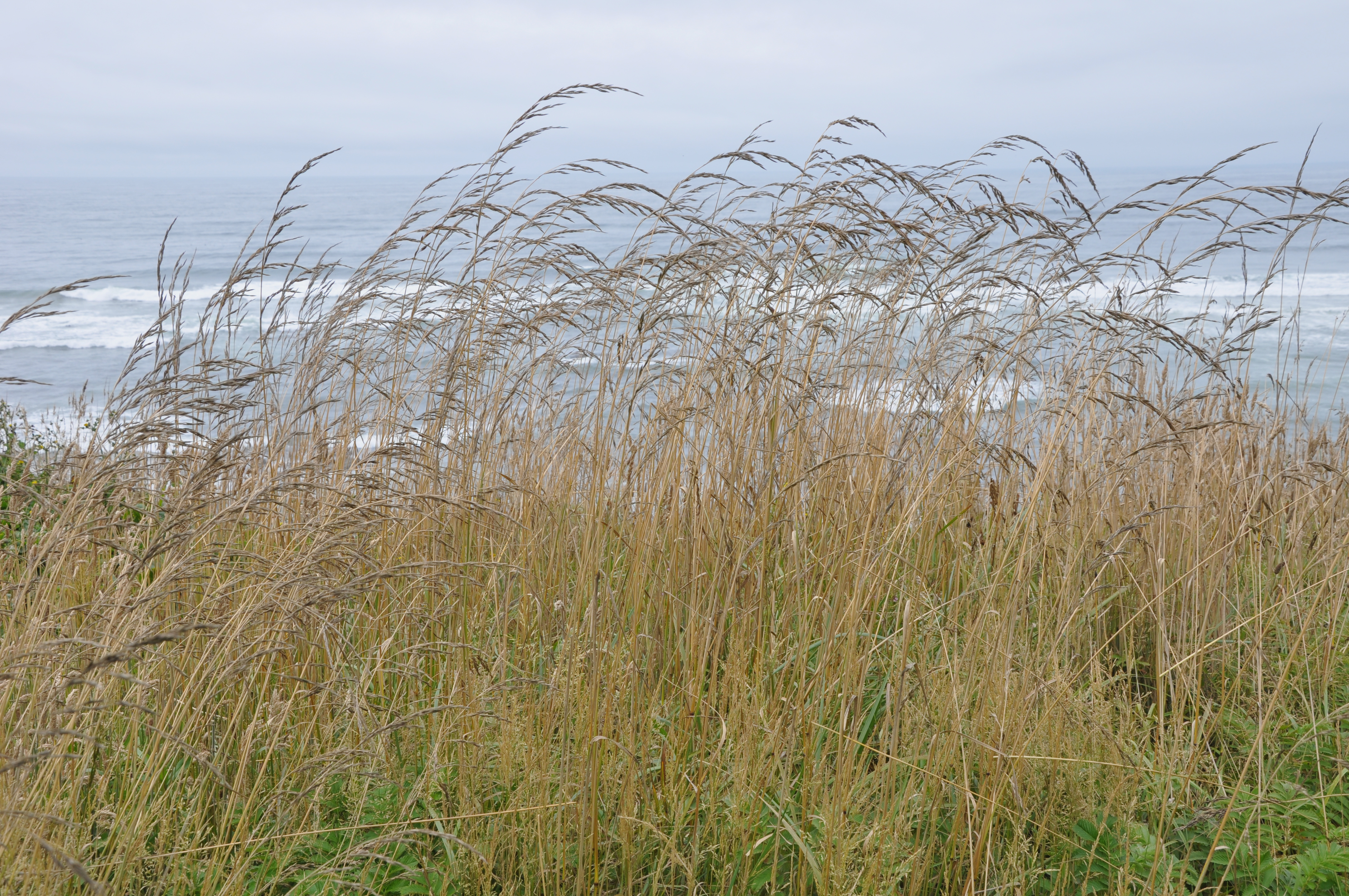 Tokatee Klootchman State Natural Site State Park