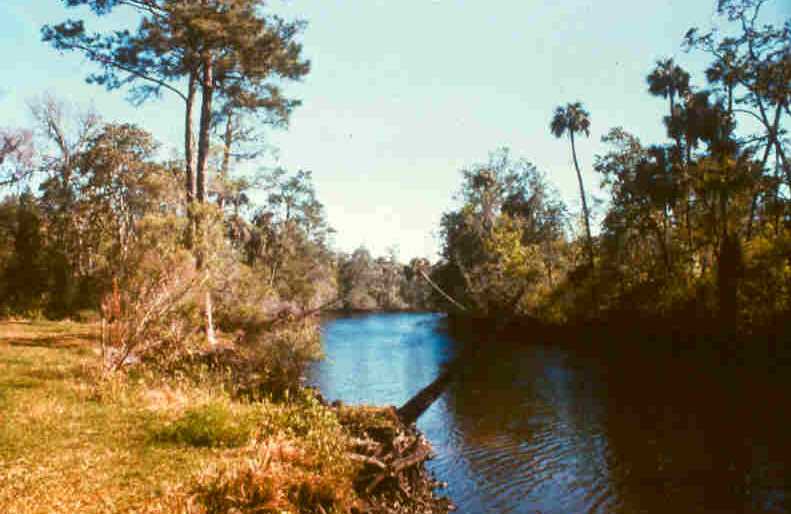 Waccasassa Bay Preserve State Park