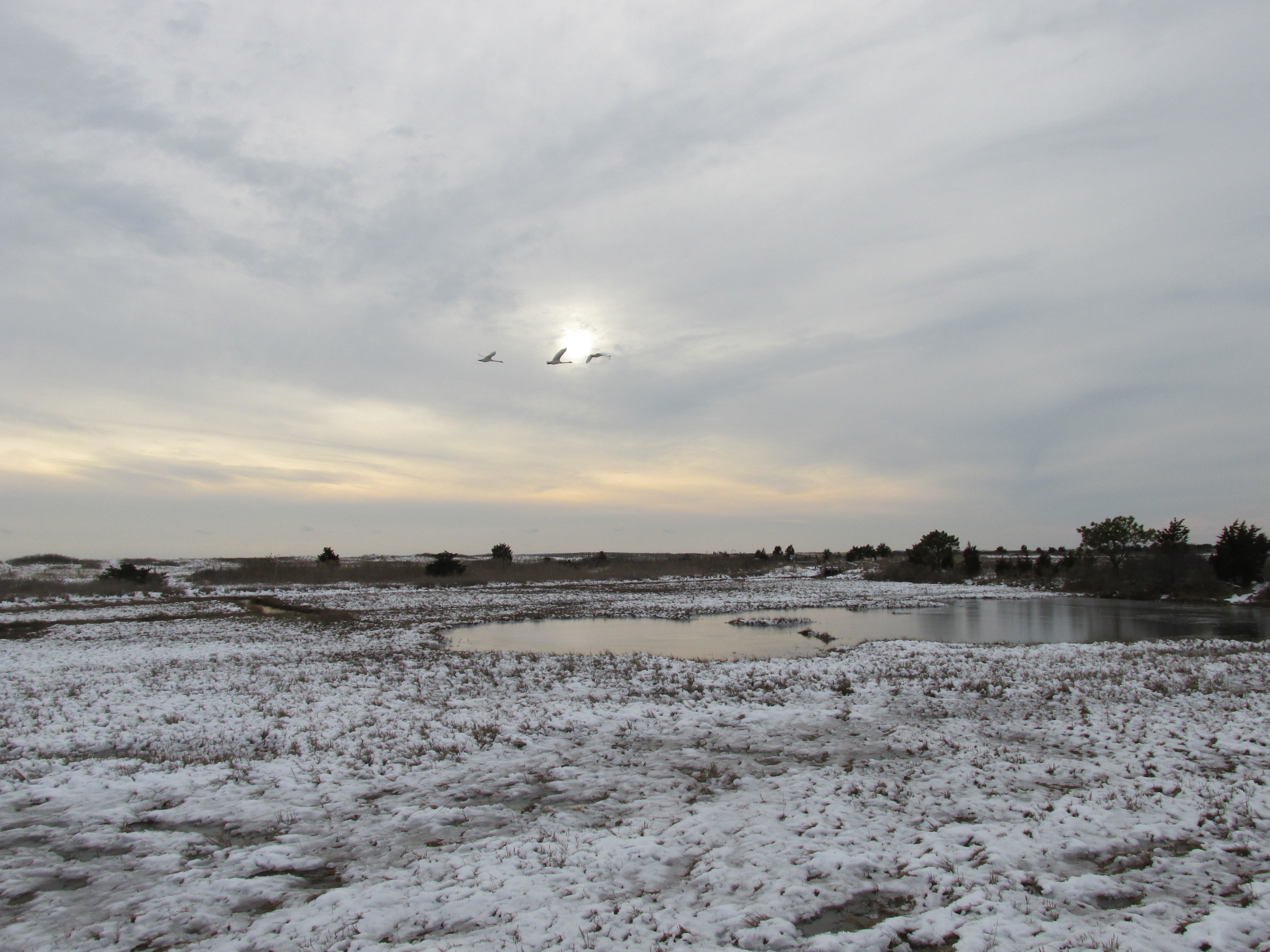 South Cape Beach State Park