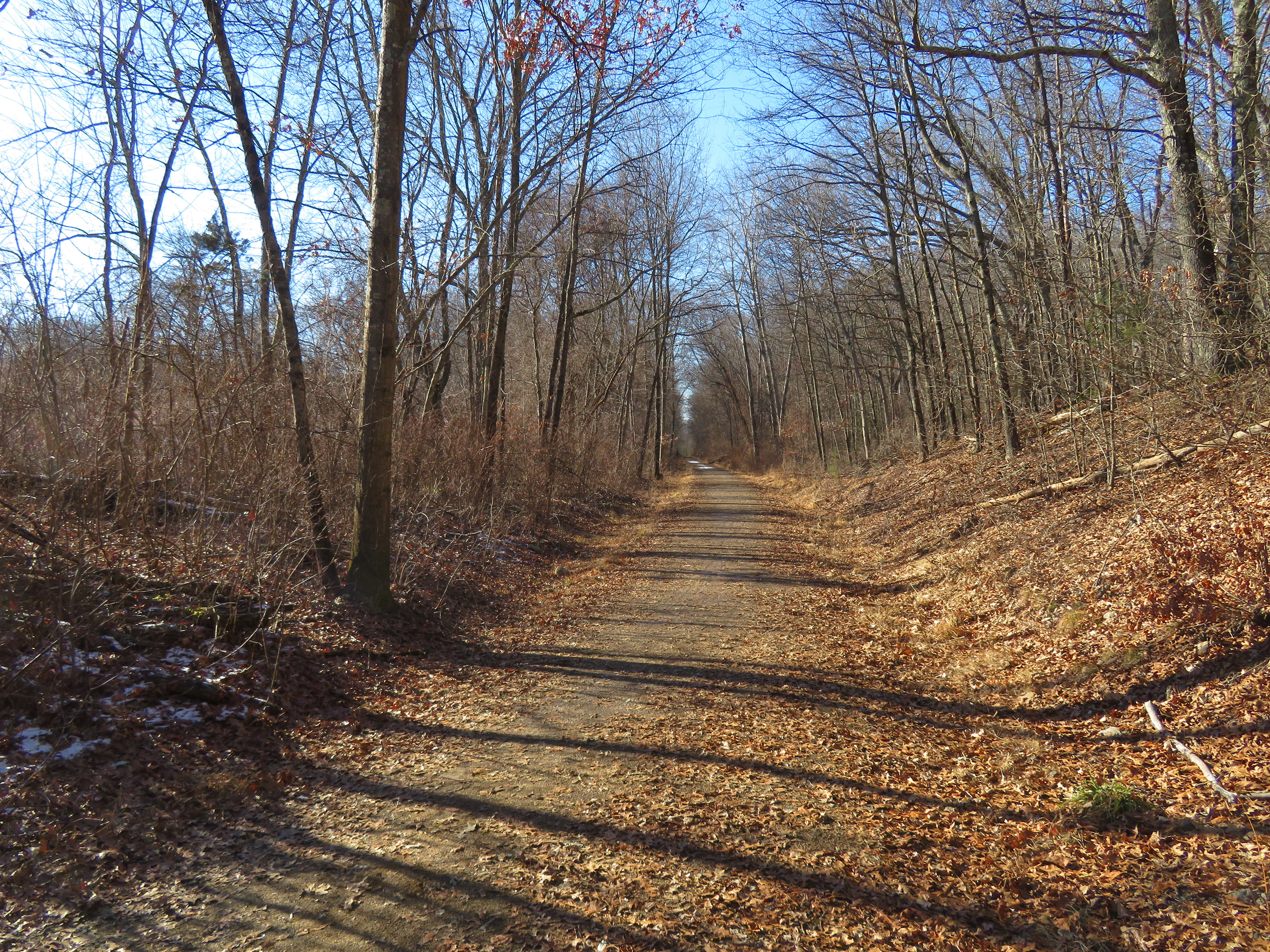 Hop River State Park Trail