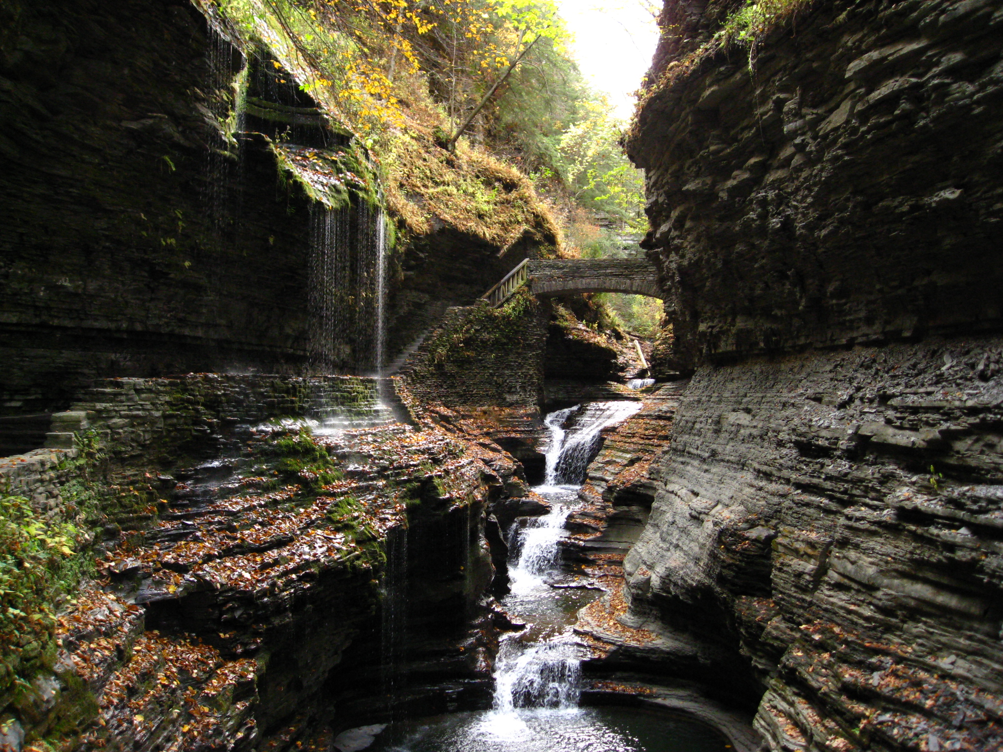 Watkins Glen State Park