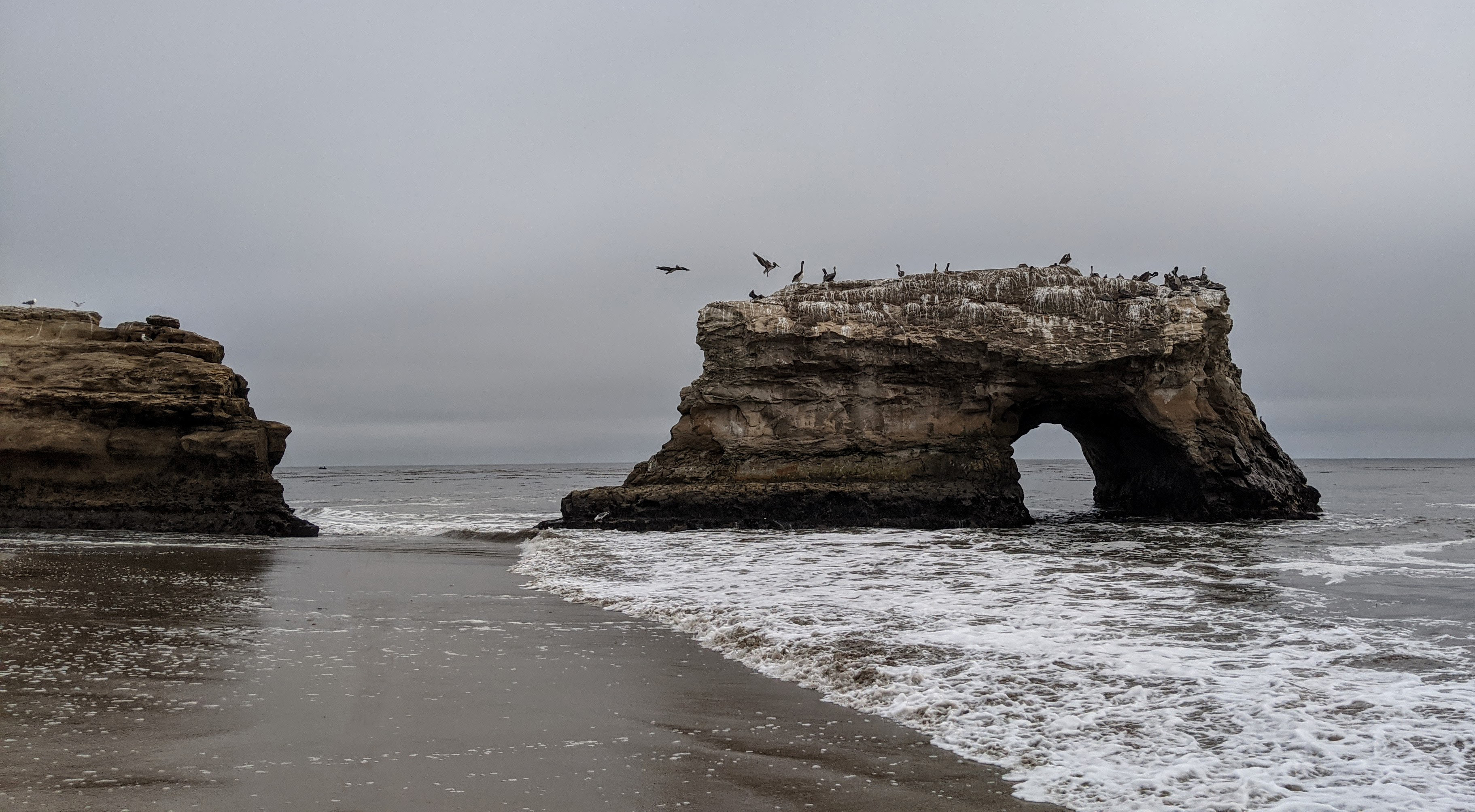 Natural Bridges State Beach State Park