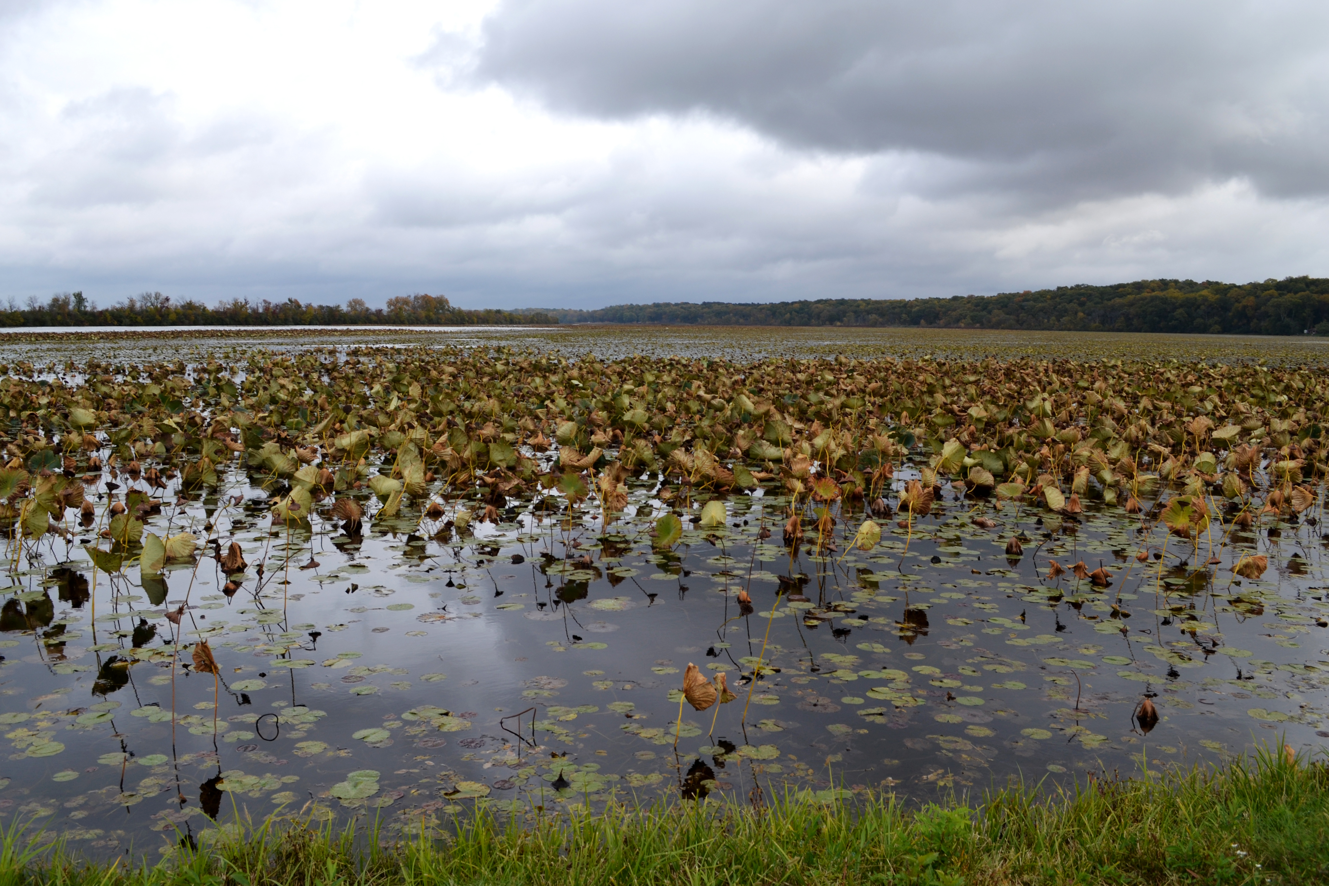 Spring Lake Fish and Wildlife Area State Park