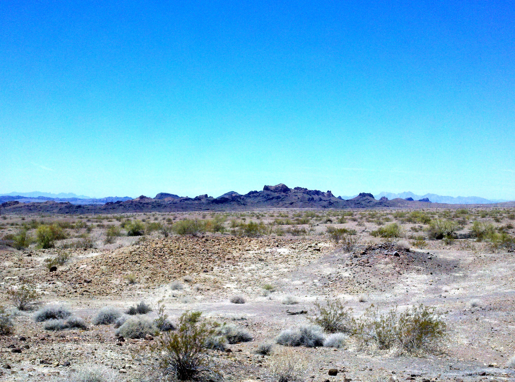 Lake Havasu State Park
