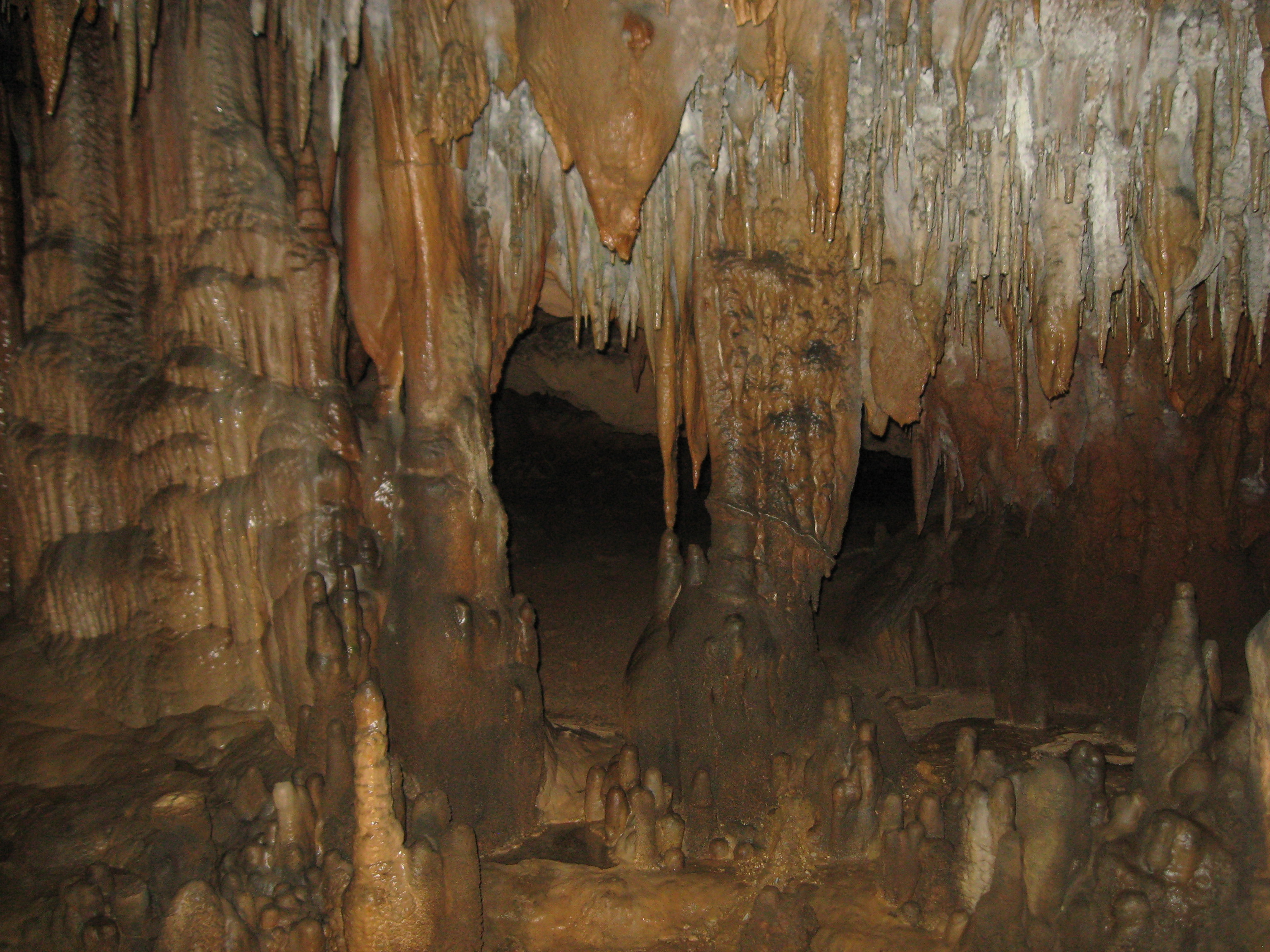 Florida Caverns State Park