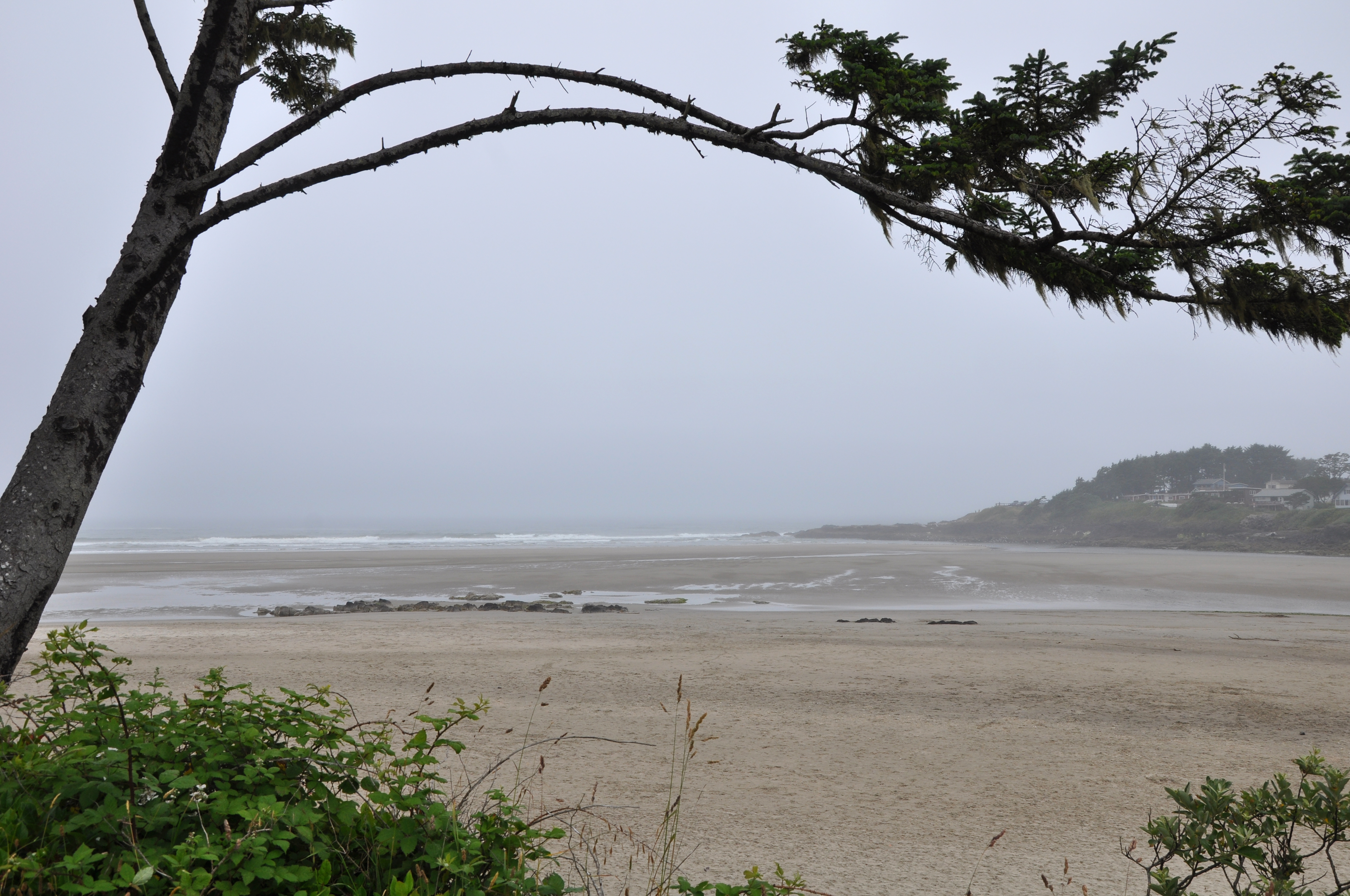 Yachats Ocean Road State Natural Site State Park
