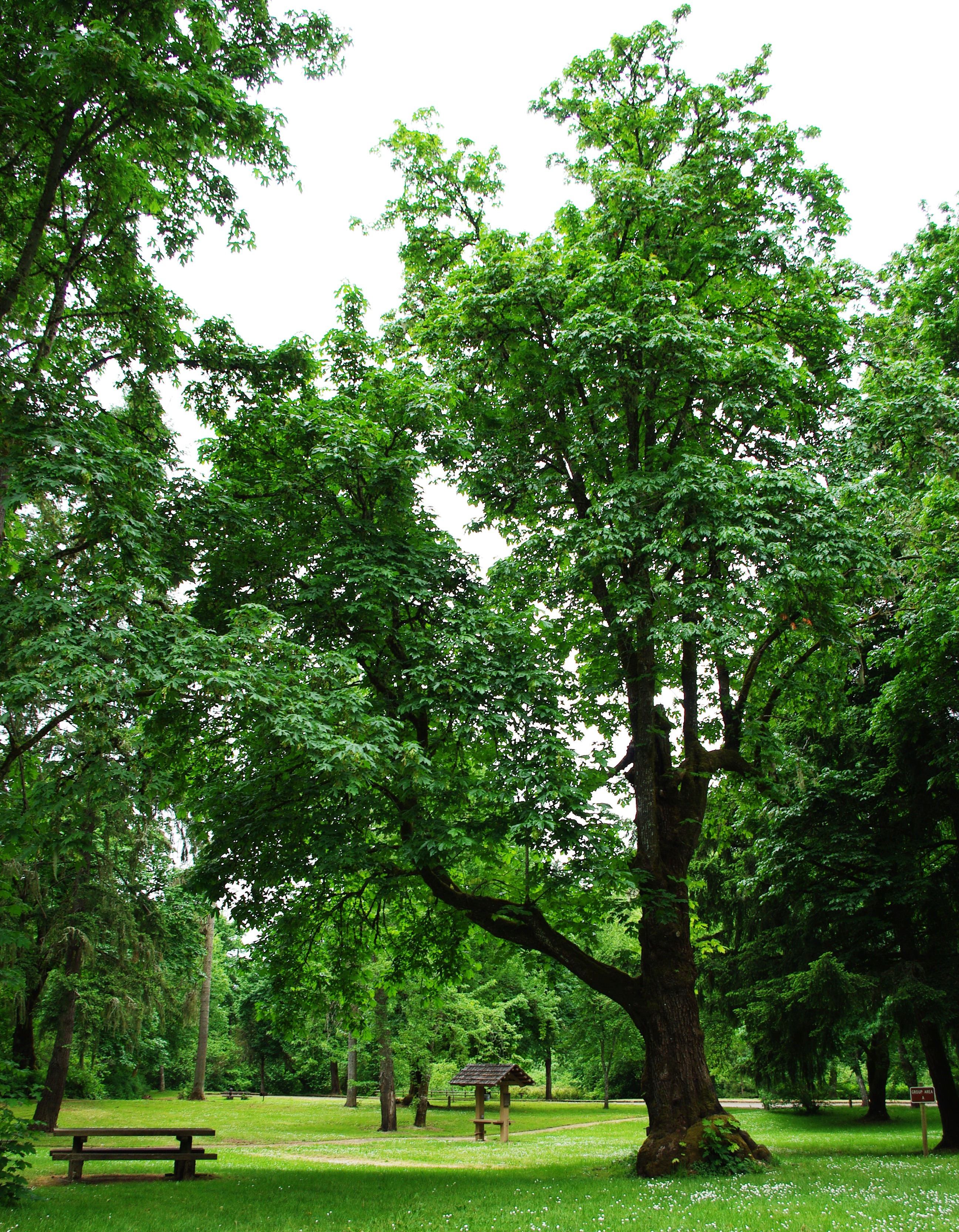 Sarah Helmick State Recreation Site State Park