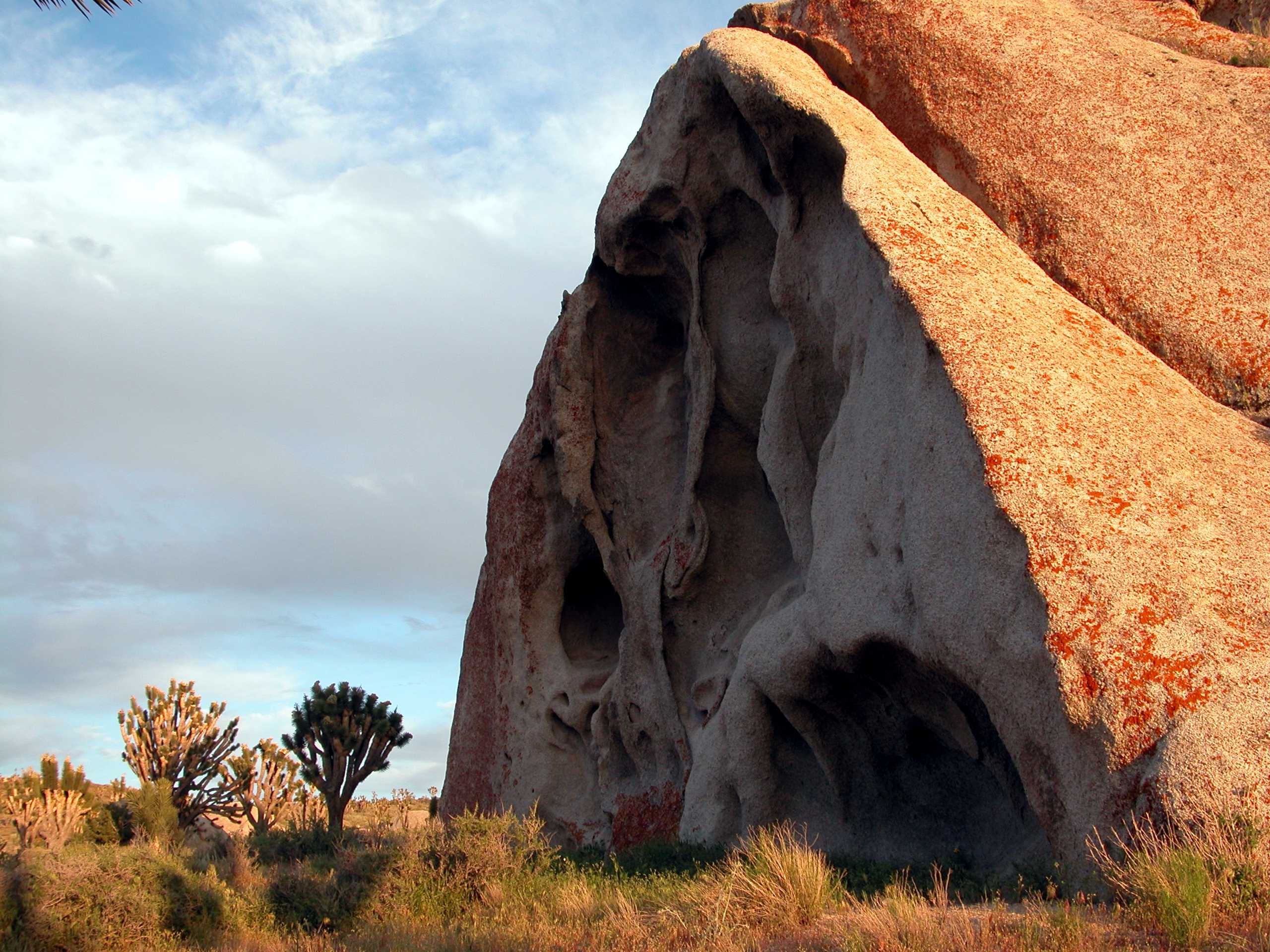 Castle Mountains National Monument
