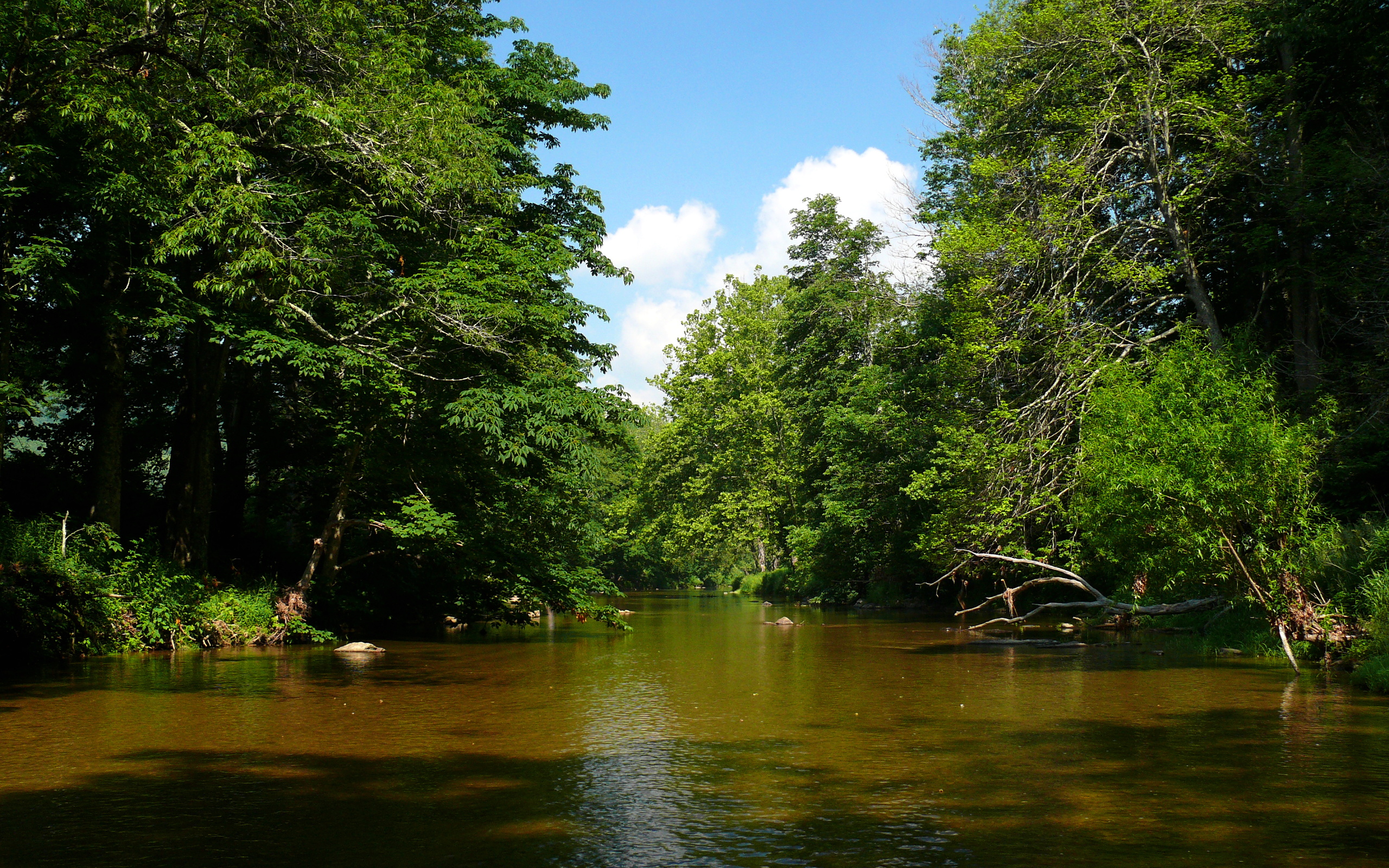Watauga River Bluffs State Natural Area State Park