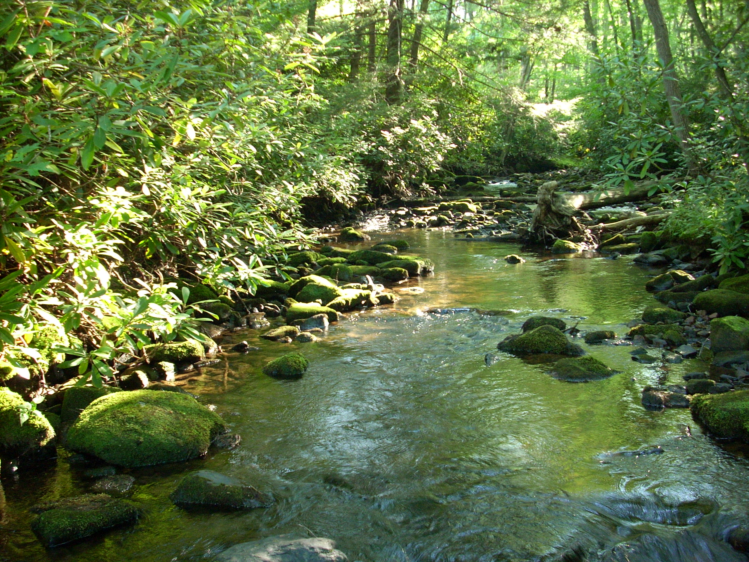Sand Bridge State Park