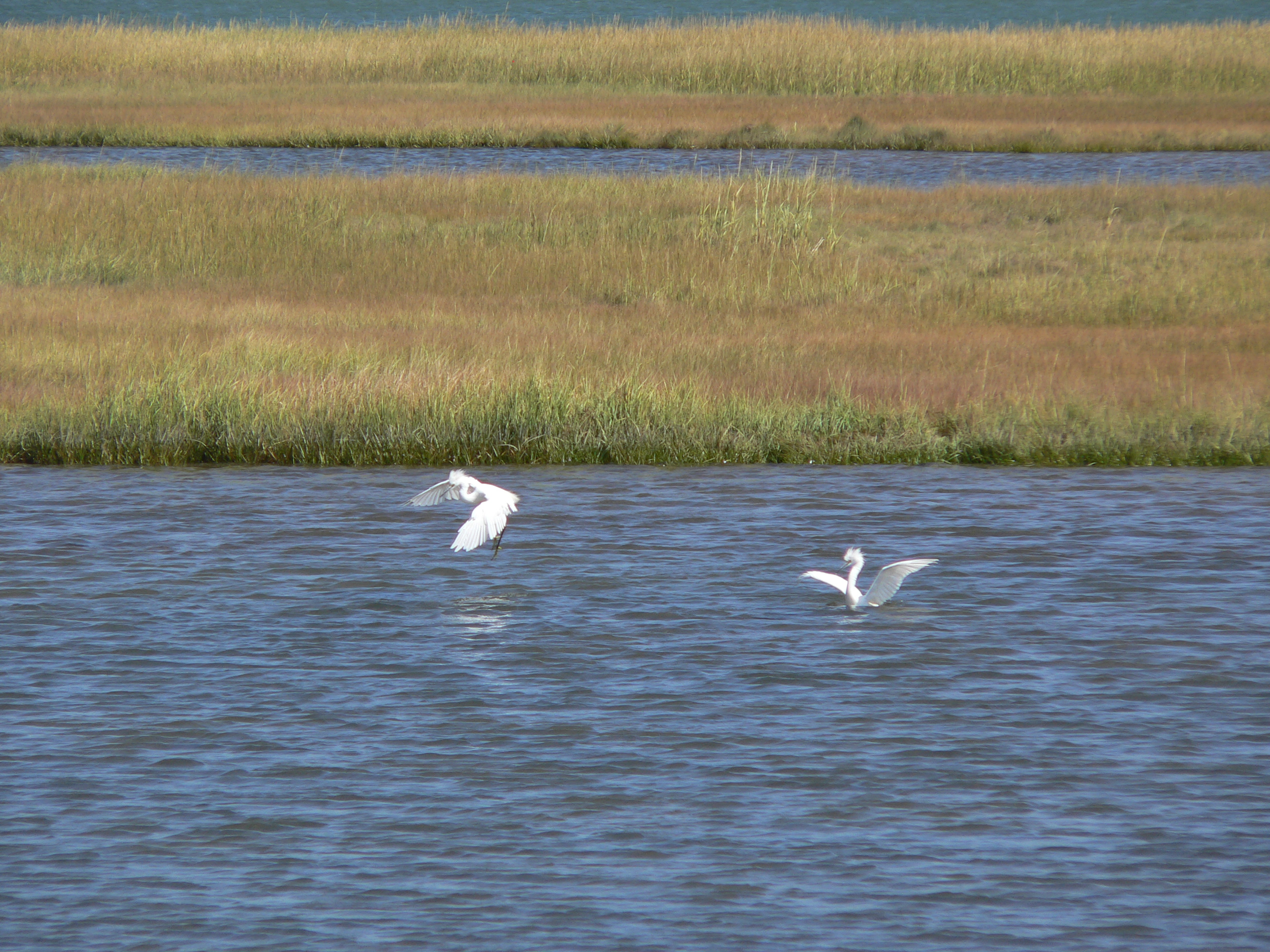 Belle Isle Marsh Reservation State Park