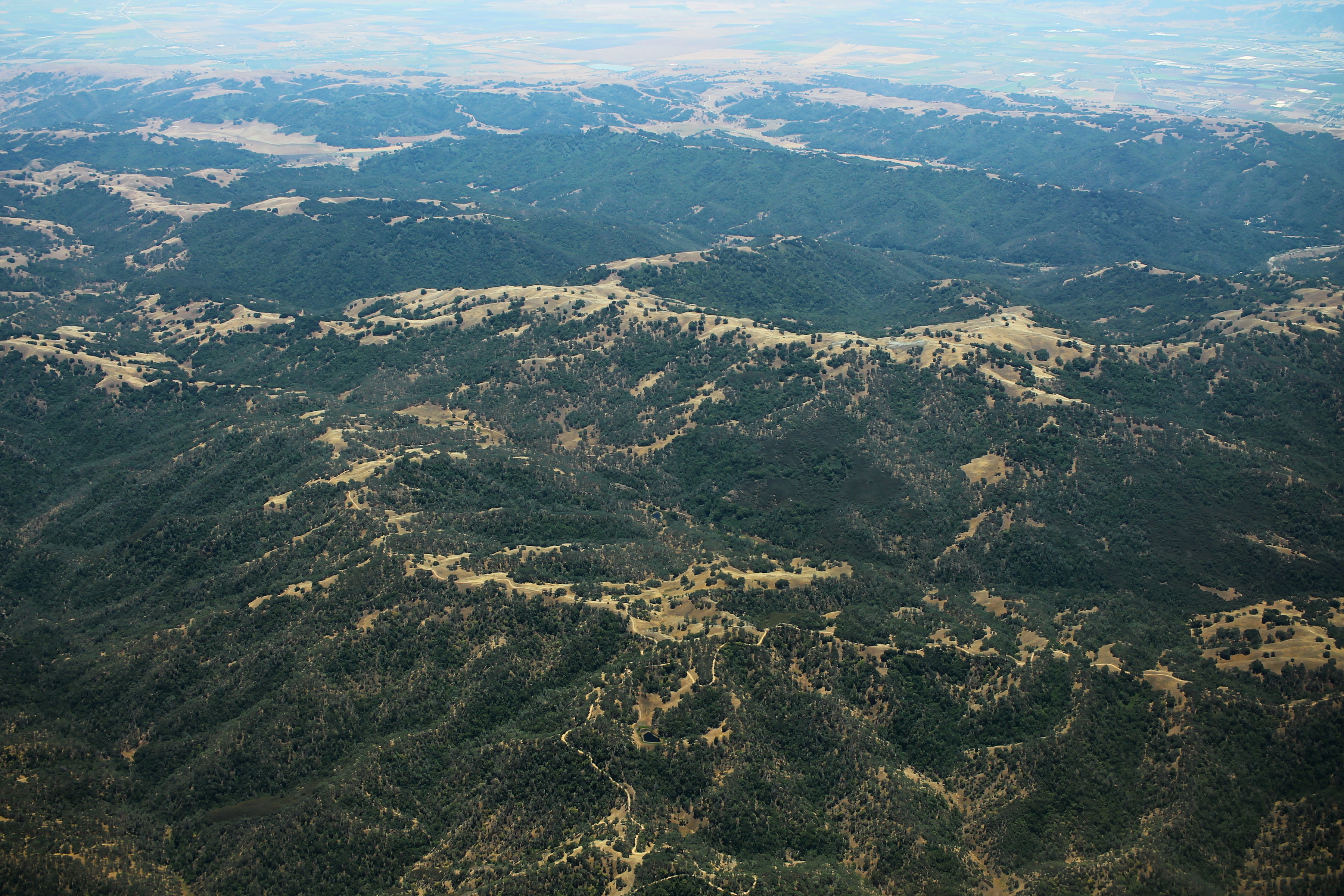 Henry W. Coe State Park