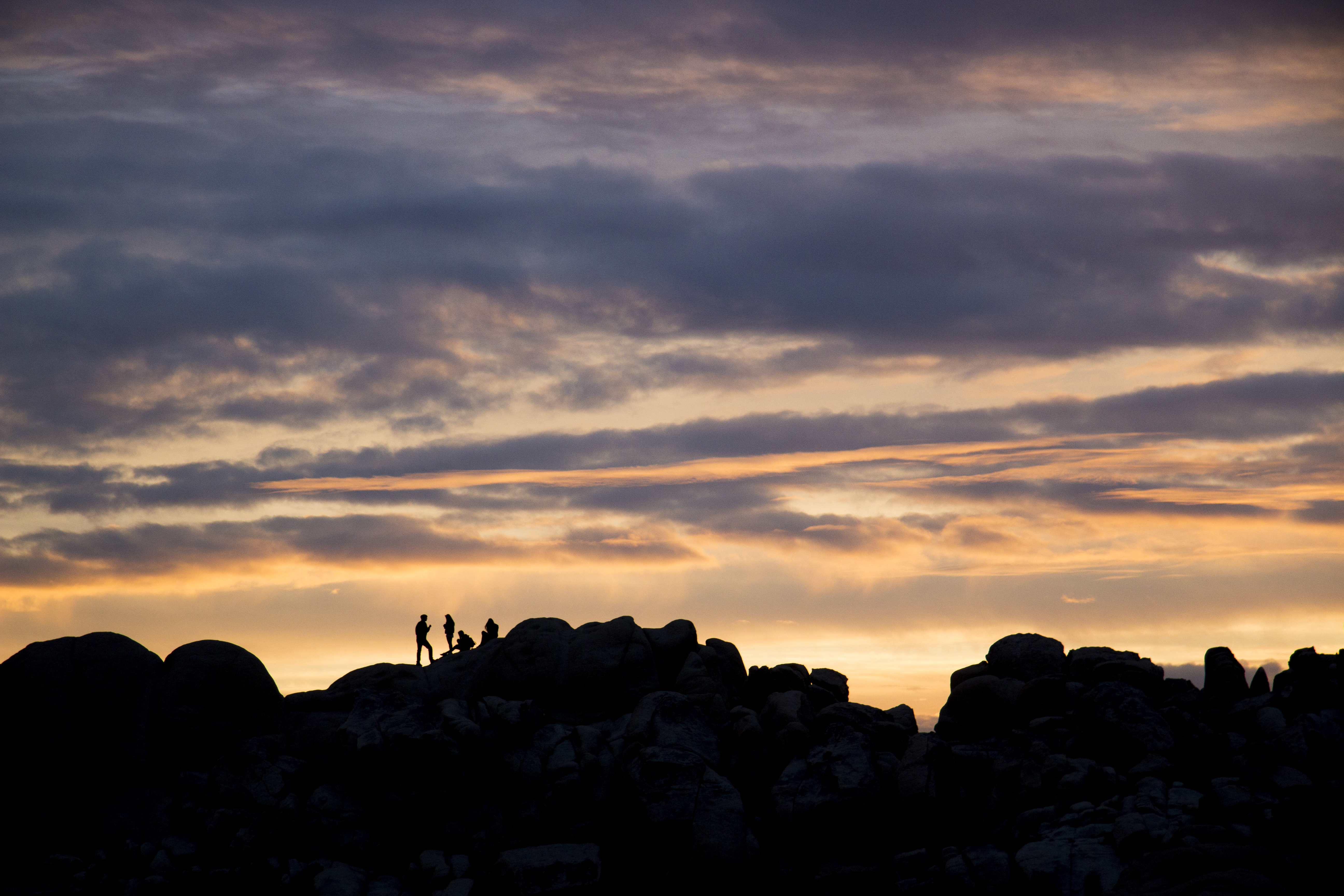 Joshua Tree National Park