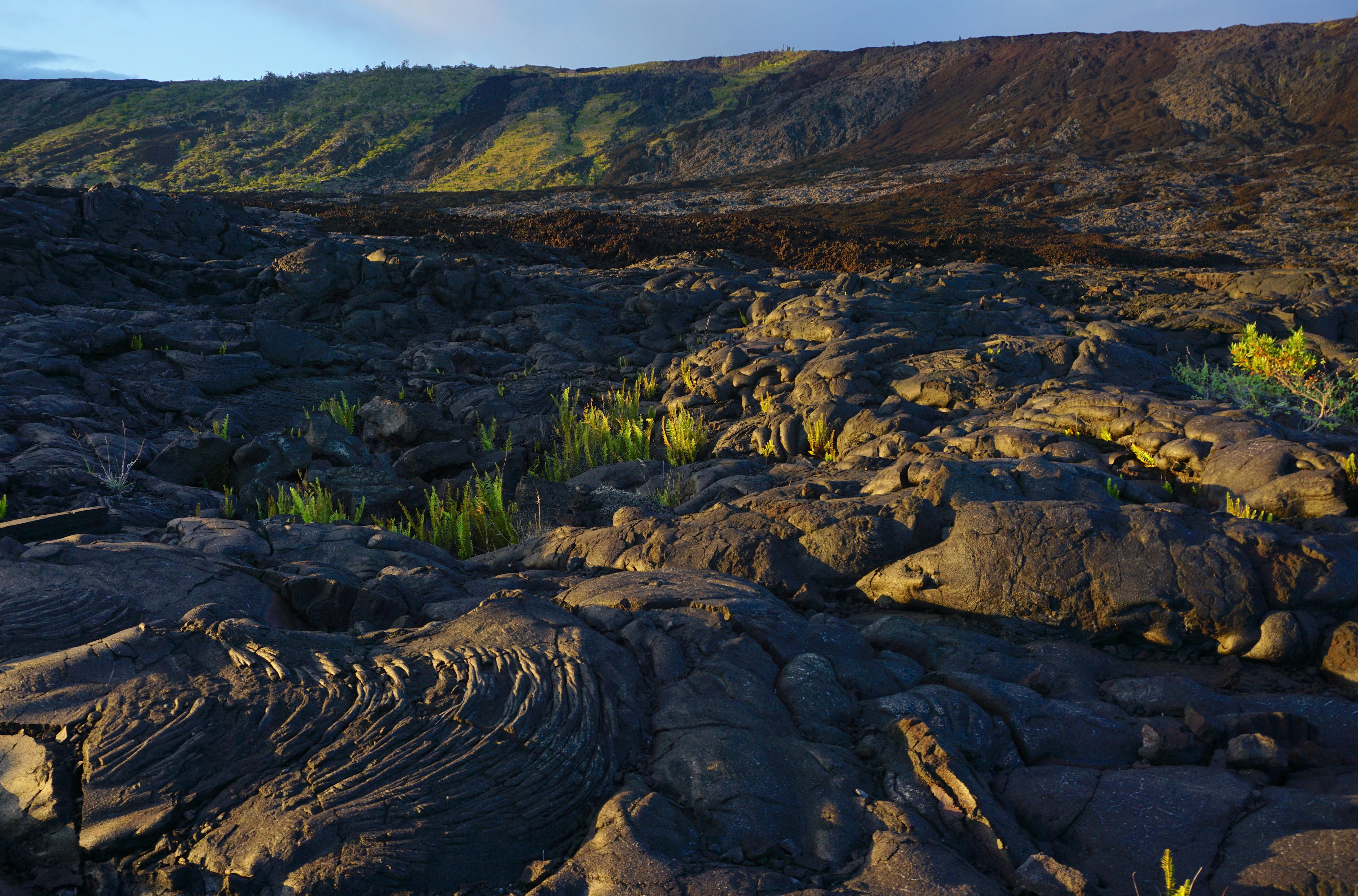 Hawaiʻi Volcanoes National Park