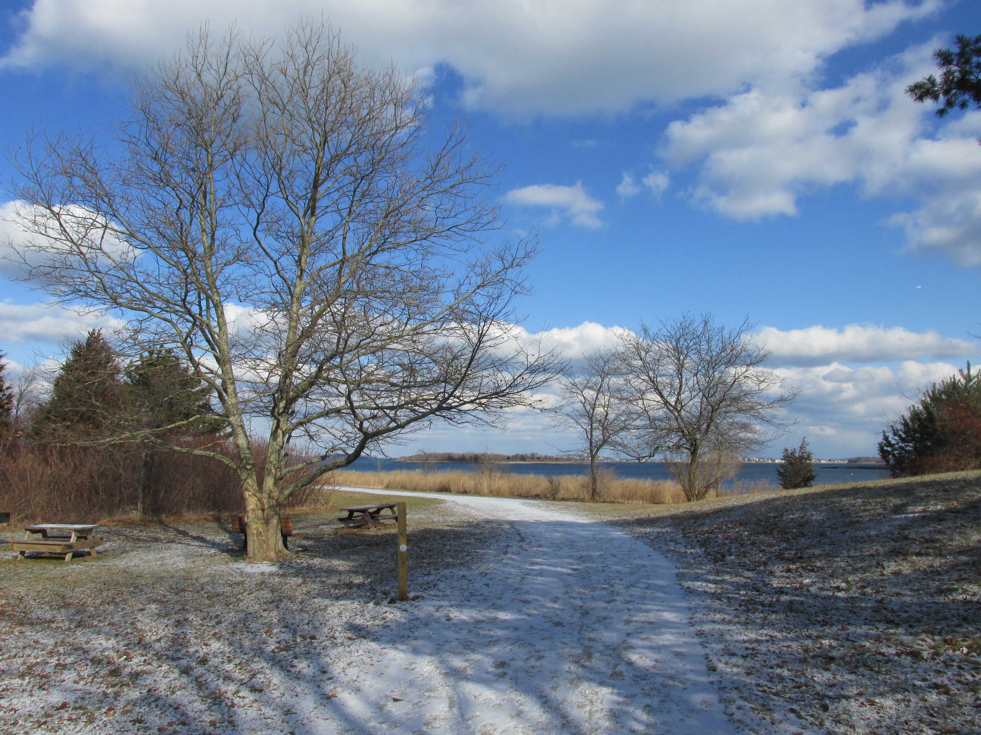 Webb Memorial State Park