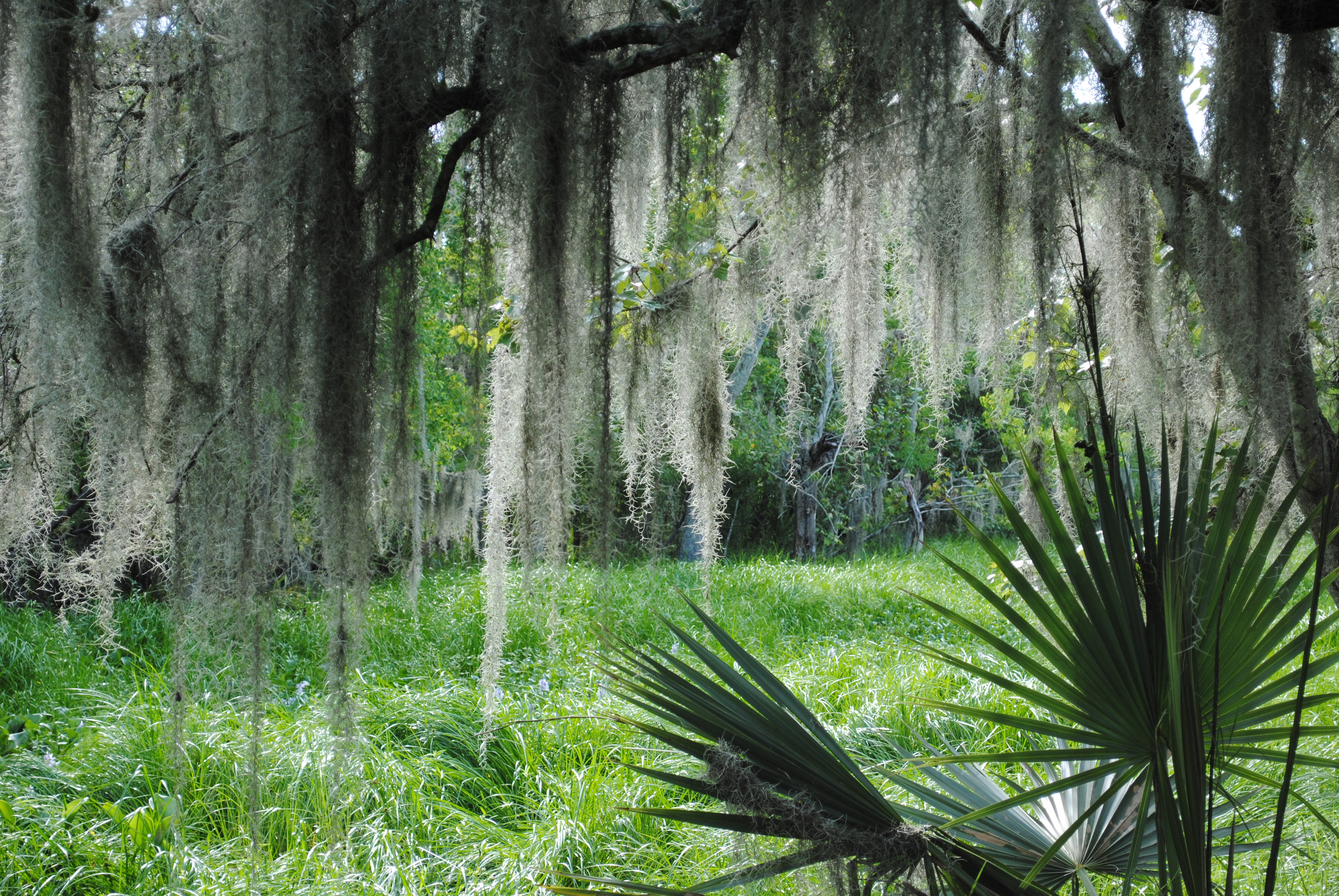 Jean Lafitte National Historical Park and Preserve