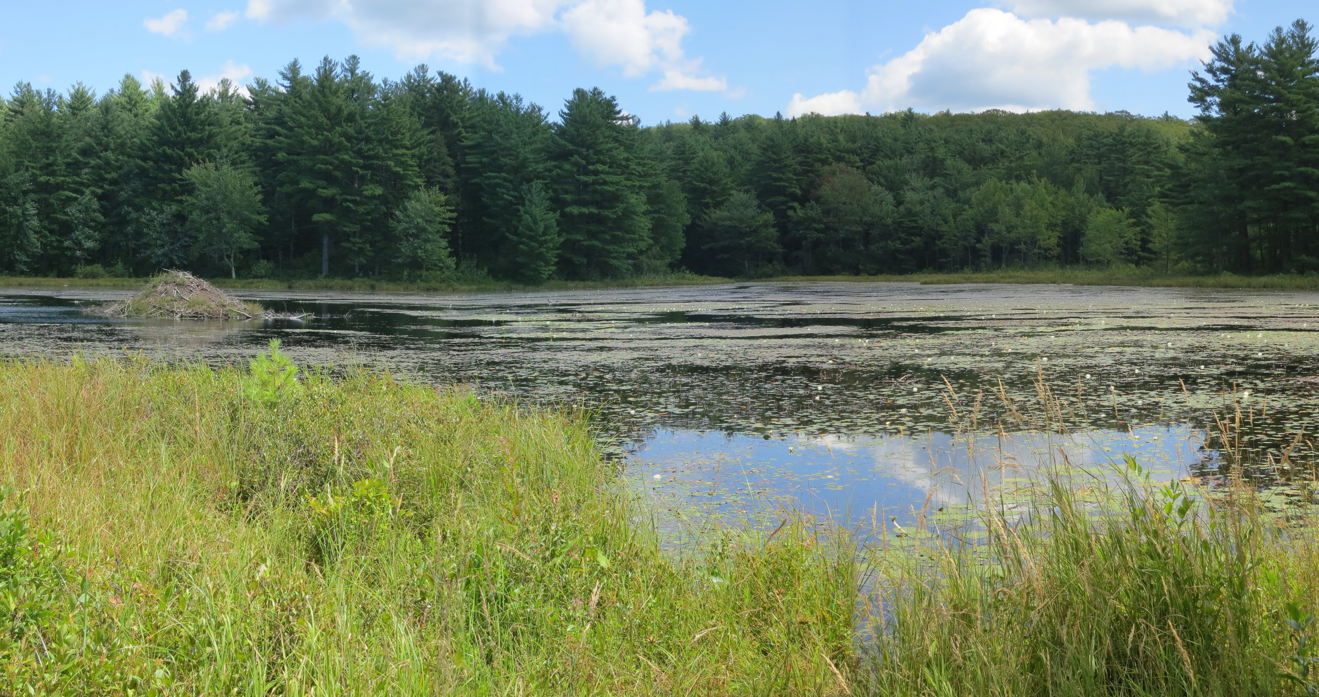 Wendell State Forest State Park