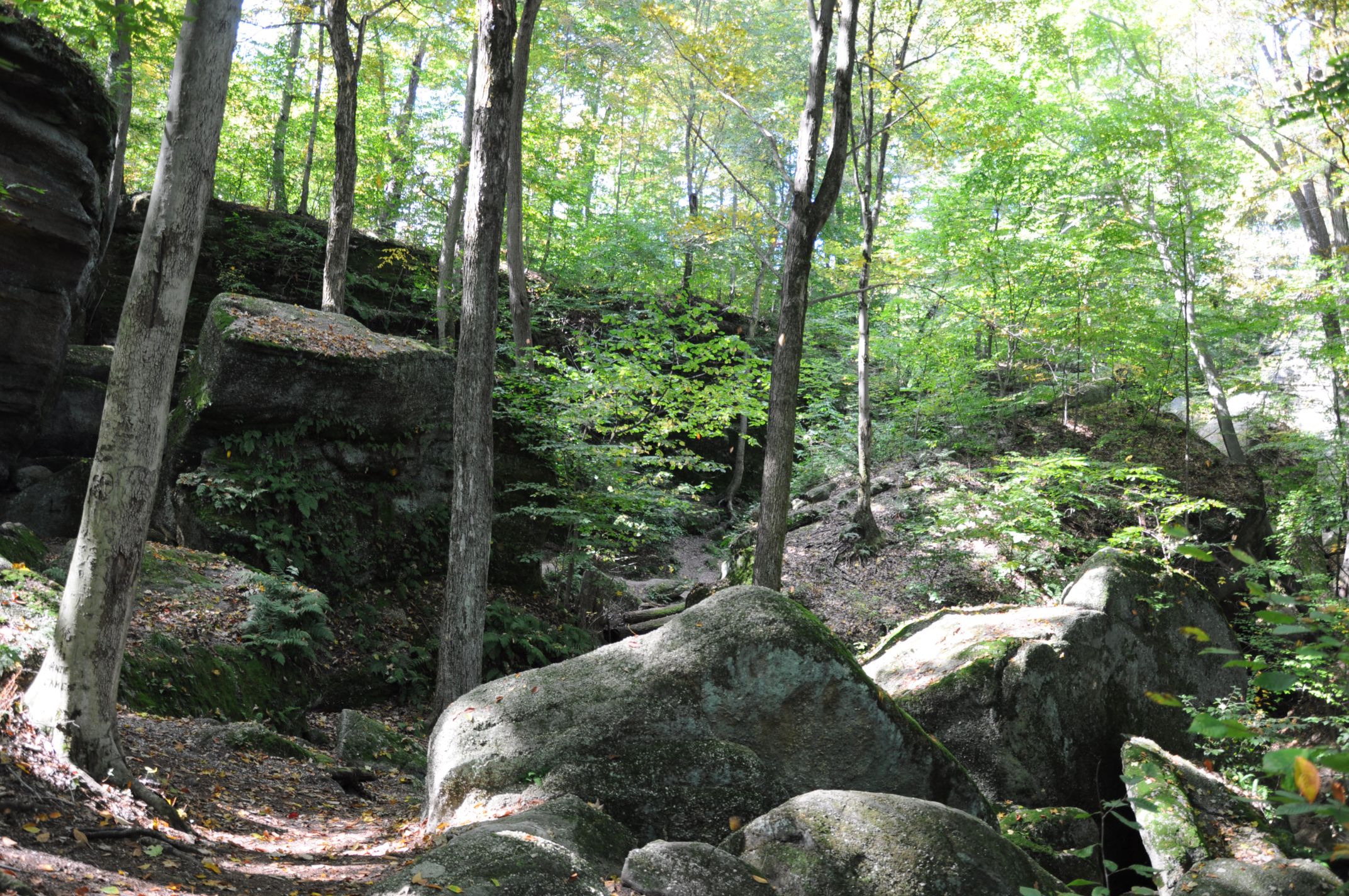 Nelson Kennedy Ledges State Park