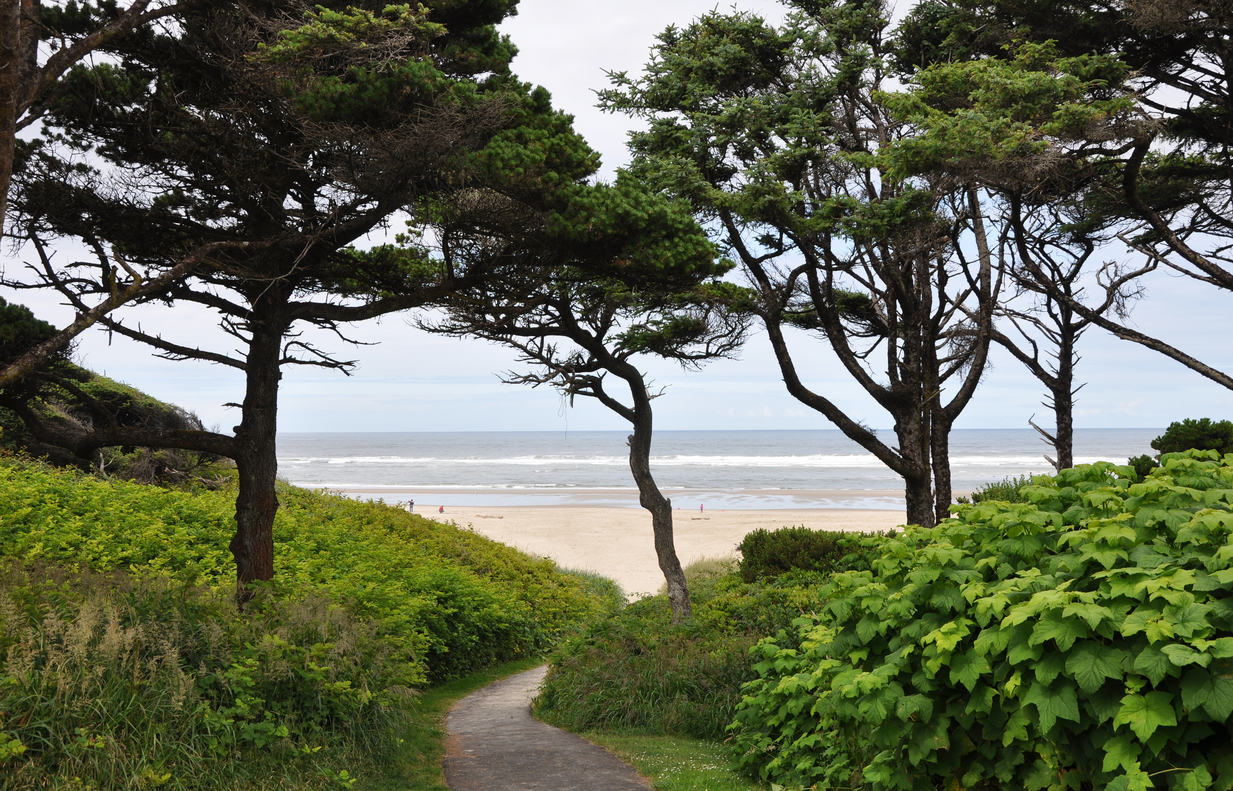Governor Patterson Memorial State Recreation Site State Park