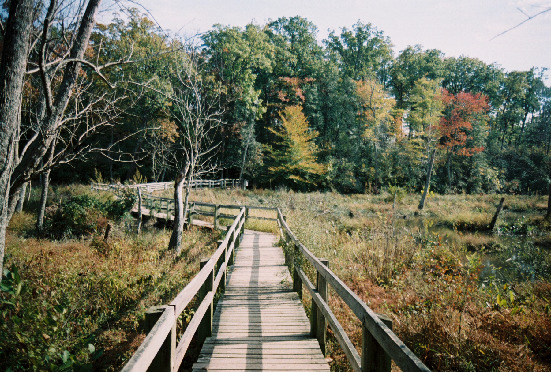 Mason Neck State Park