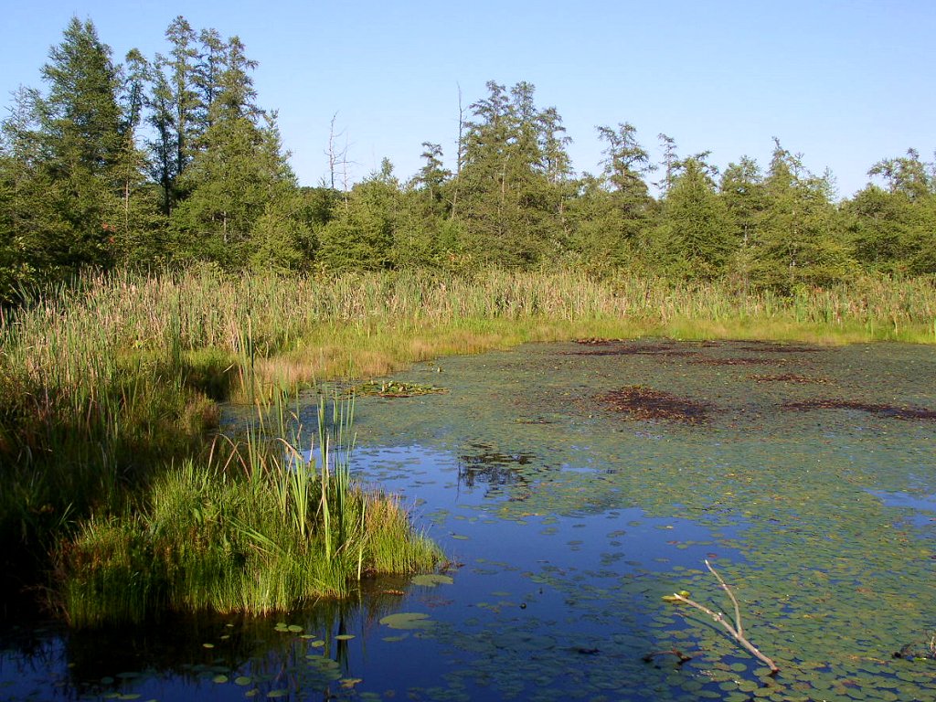 Volo Bog State Natural Area State Park