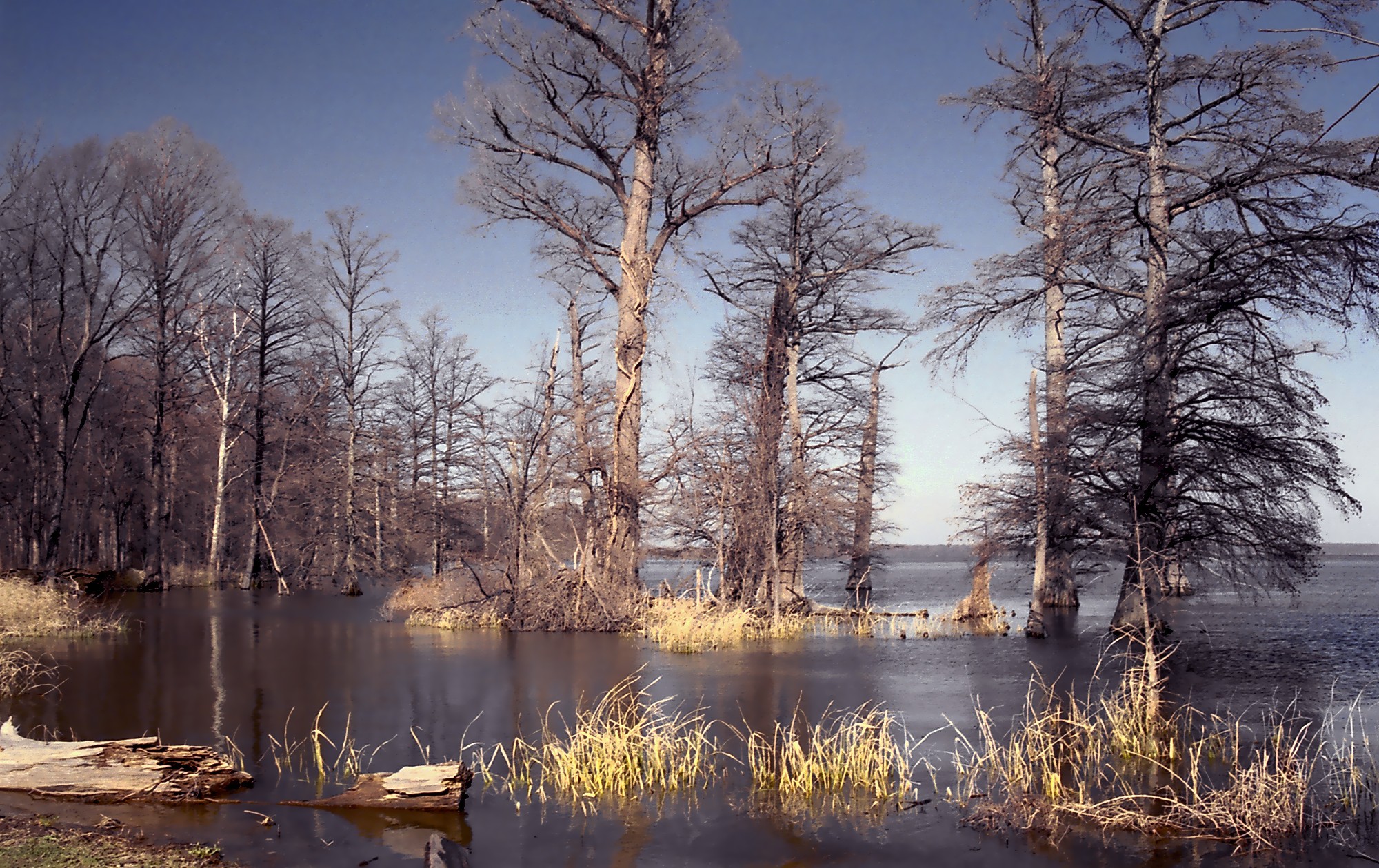 Reelfoot Lake State Park