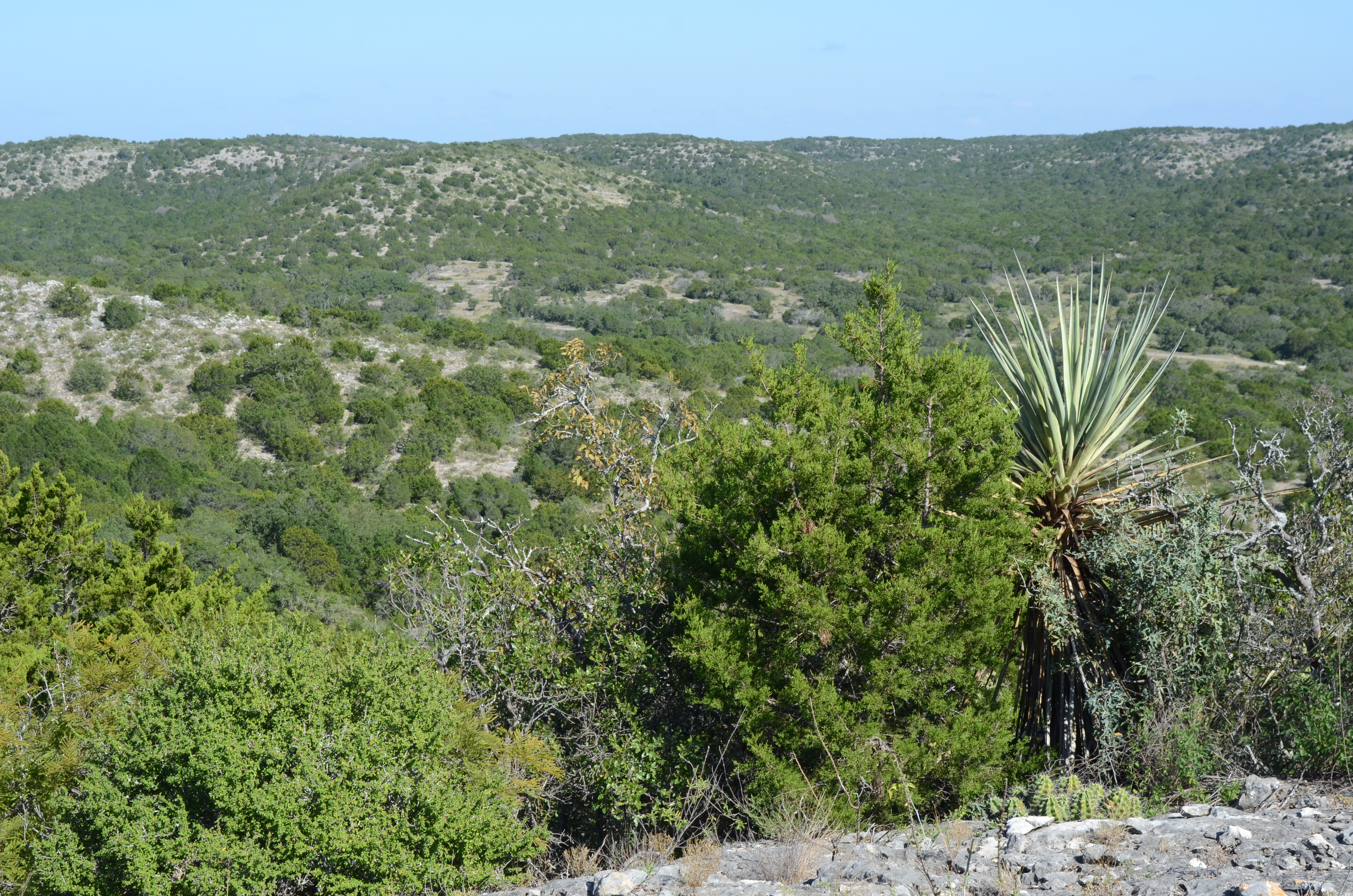Kickapoo Cavern State Park