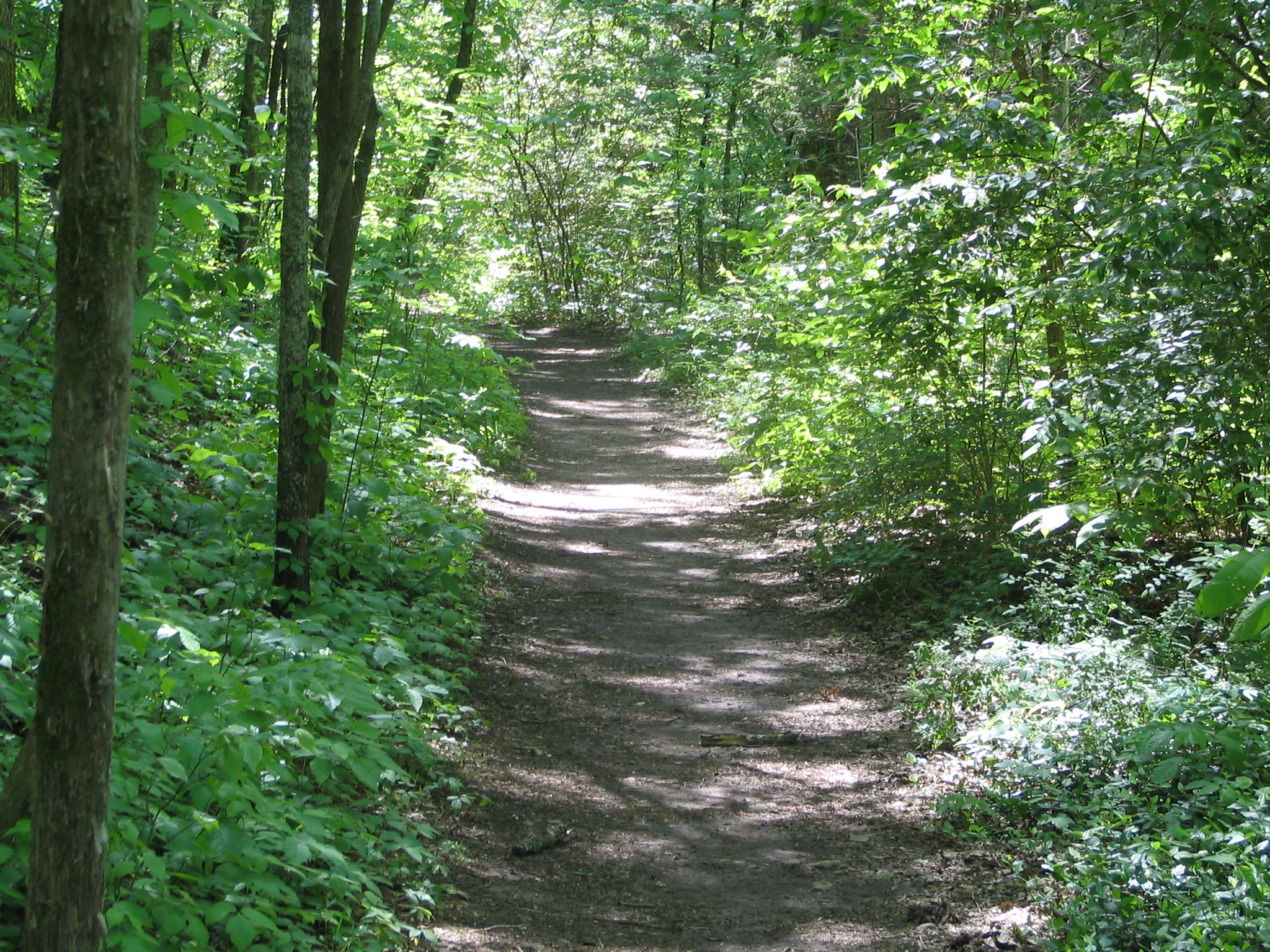 Natchez Trace National Scenic Trail State Park