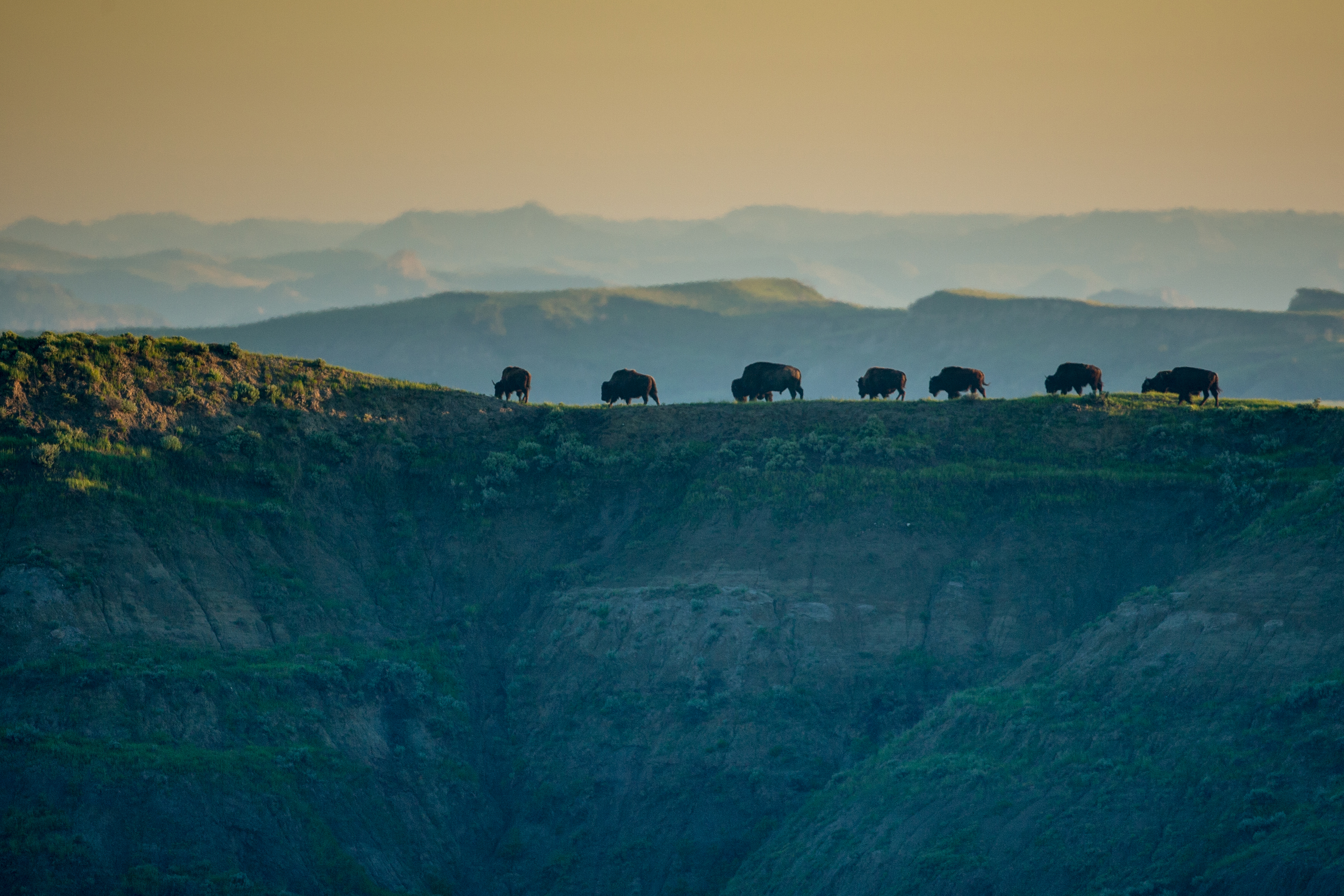 Theodore Roosevelt National Park