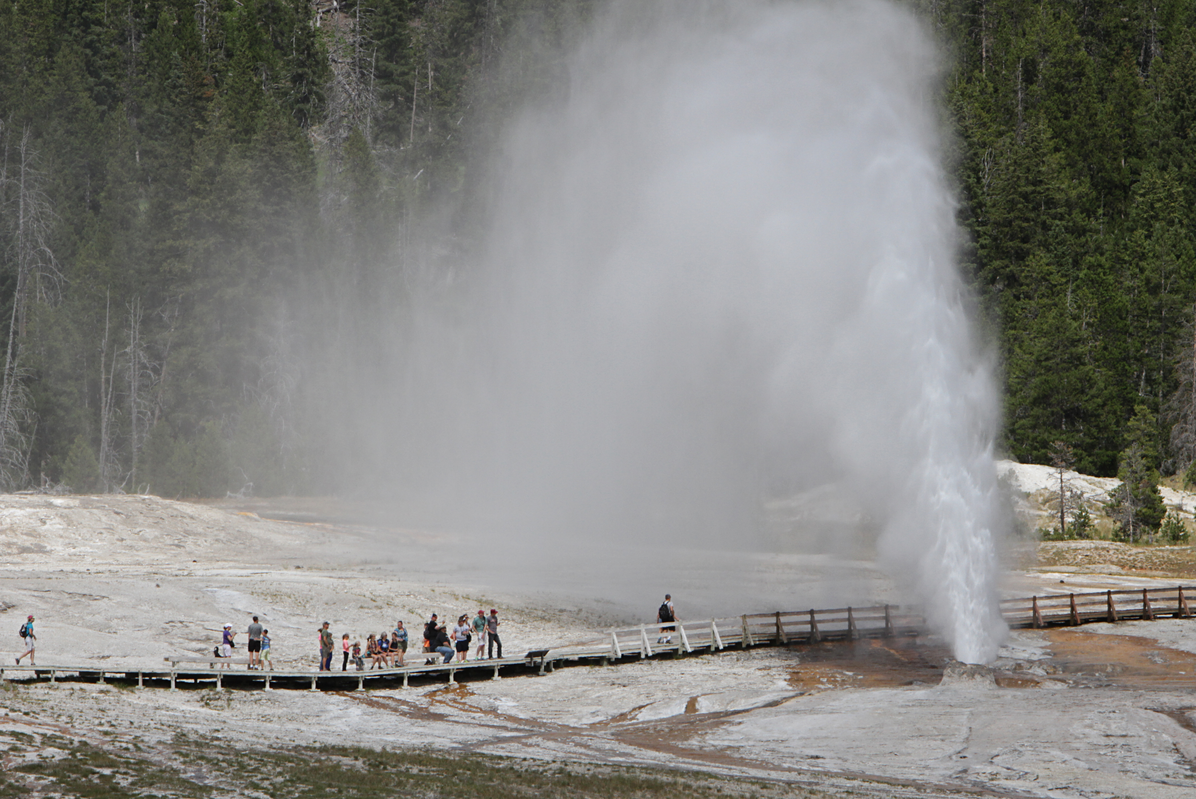Yellowstone National Park