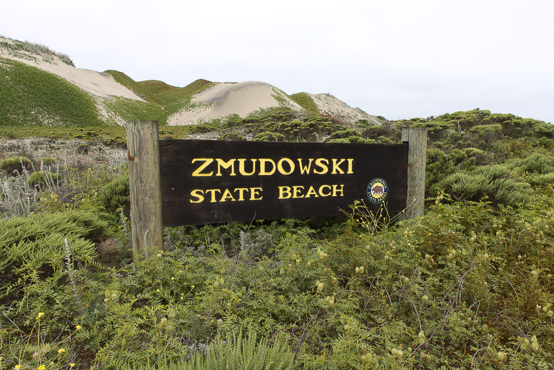 Zmudowski State Beach State Park