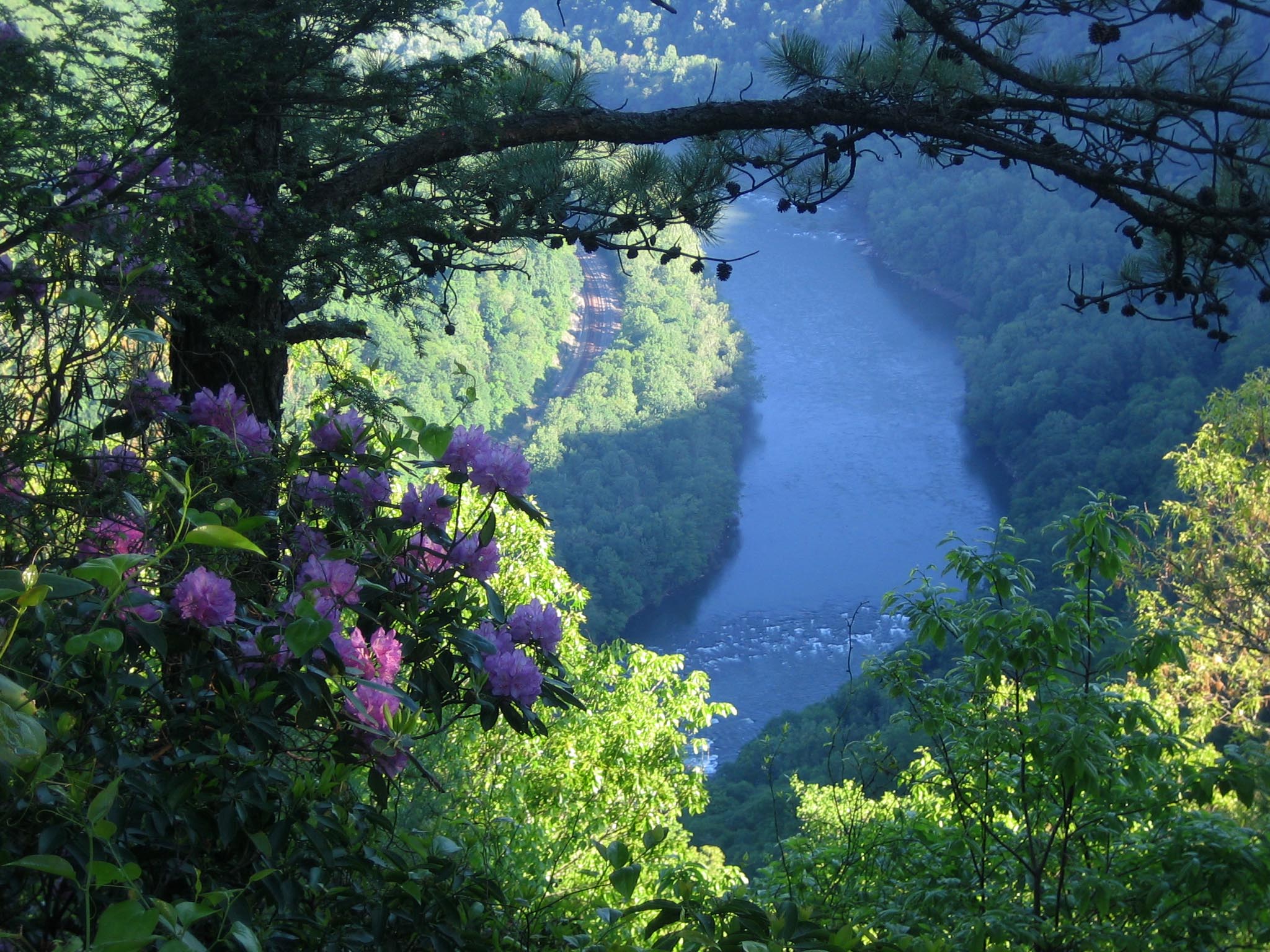 New River Gorge National Park & Preserve