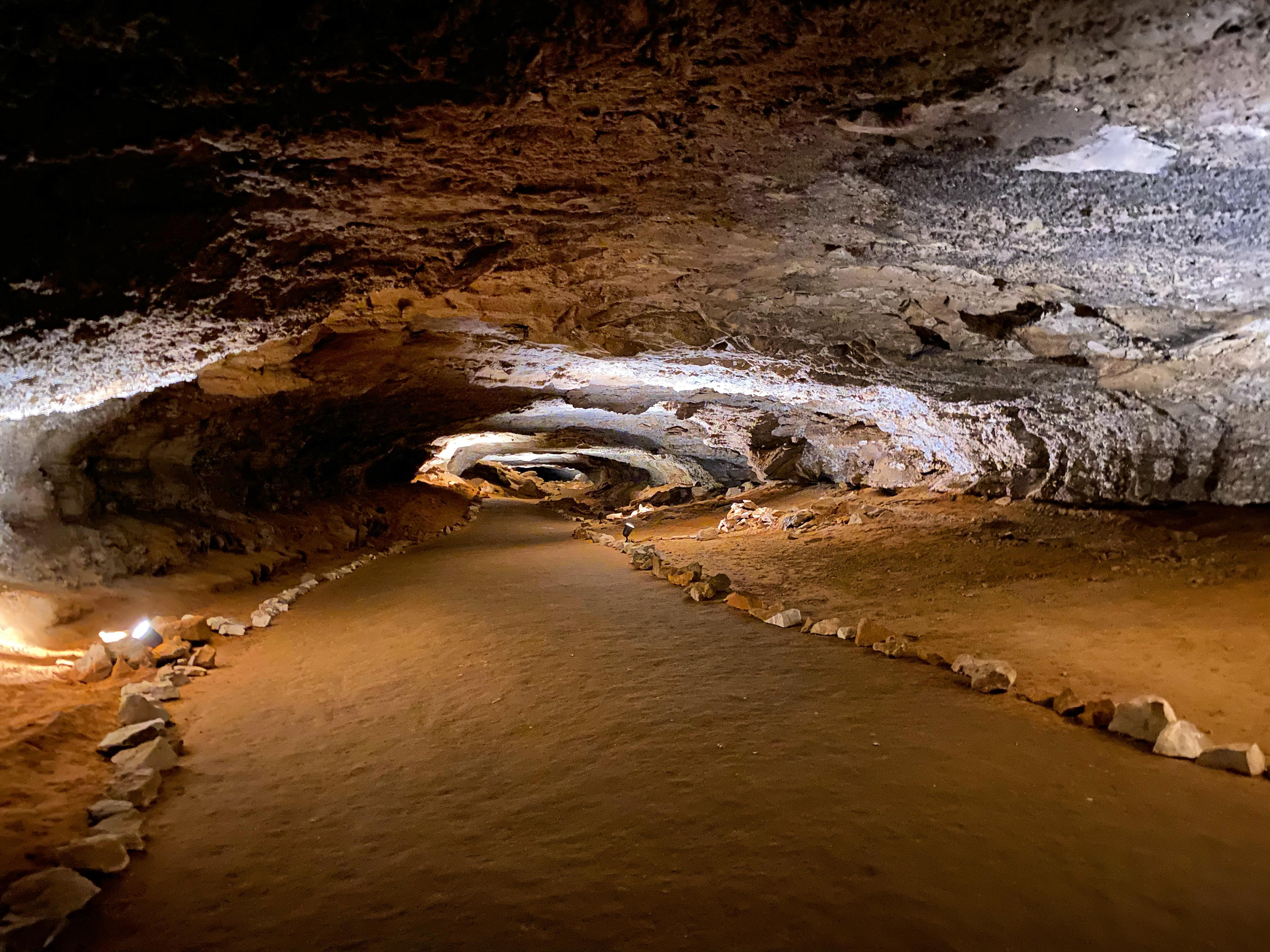 Mammoth Cave National Park
