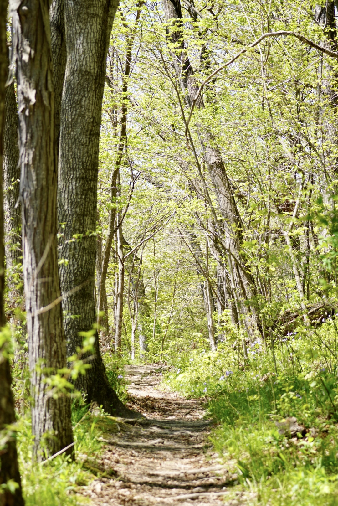 Palisades-Kepler State Park