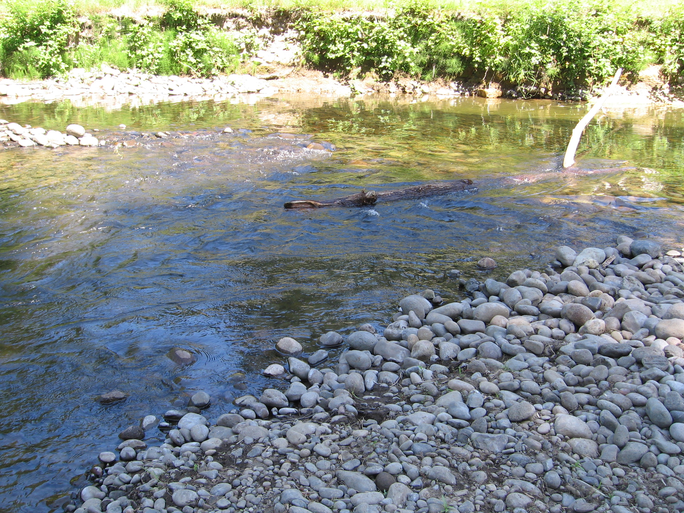 Bonnie Lure State Recreation Area State Park