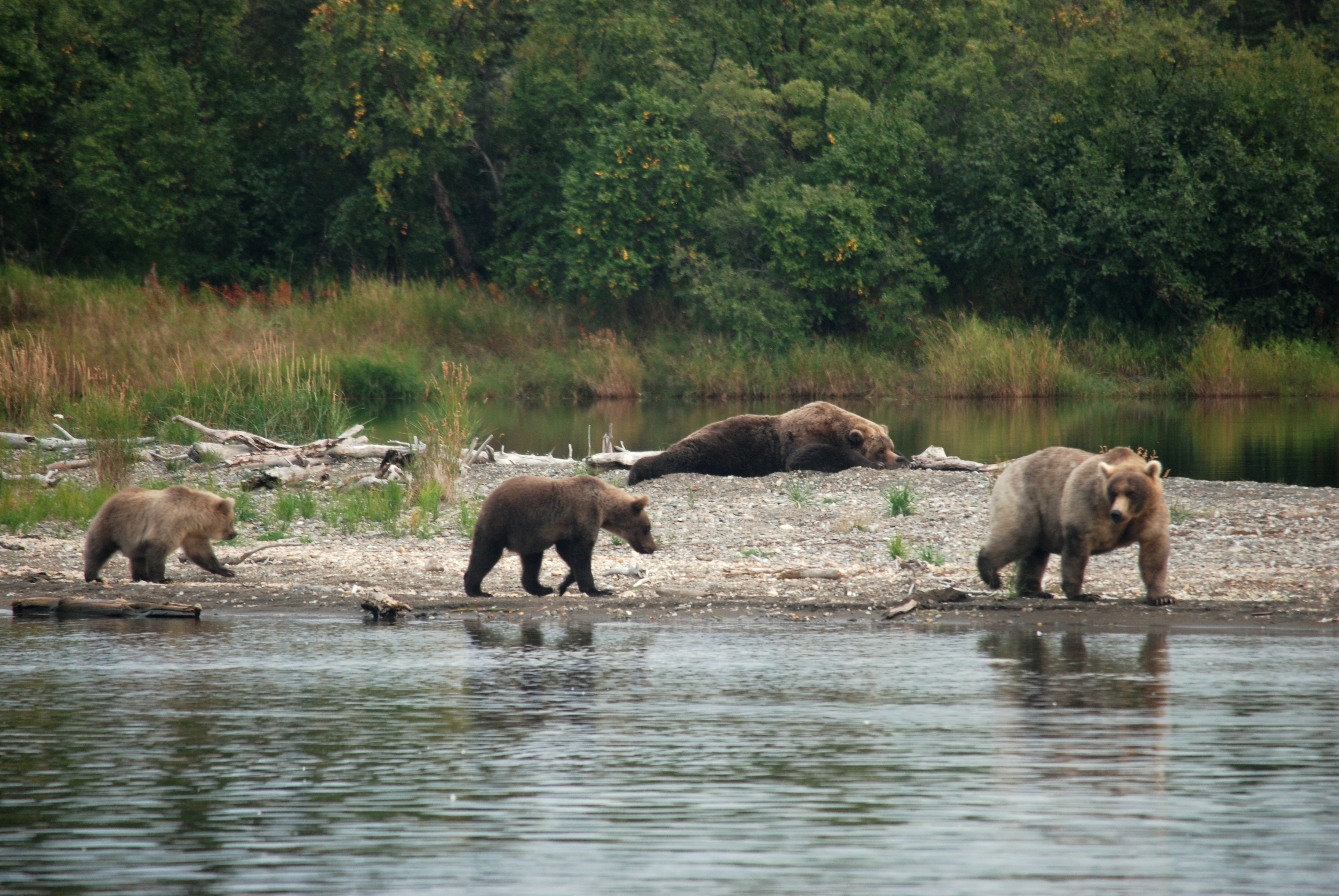 Katmai National Park & Preserve