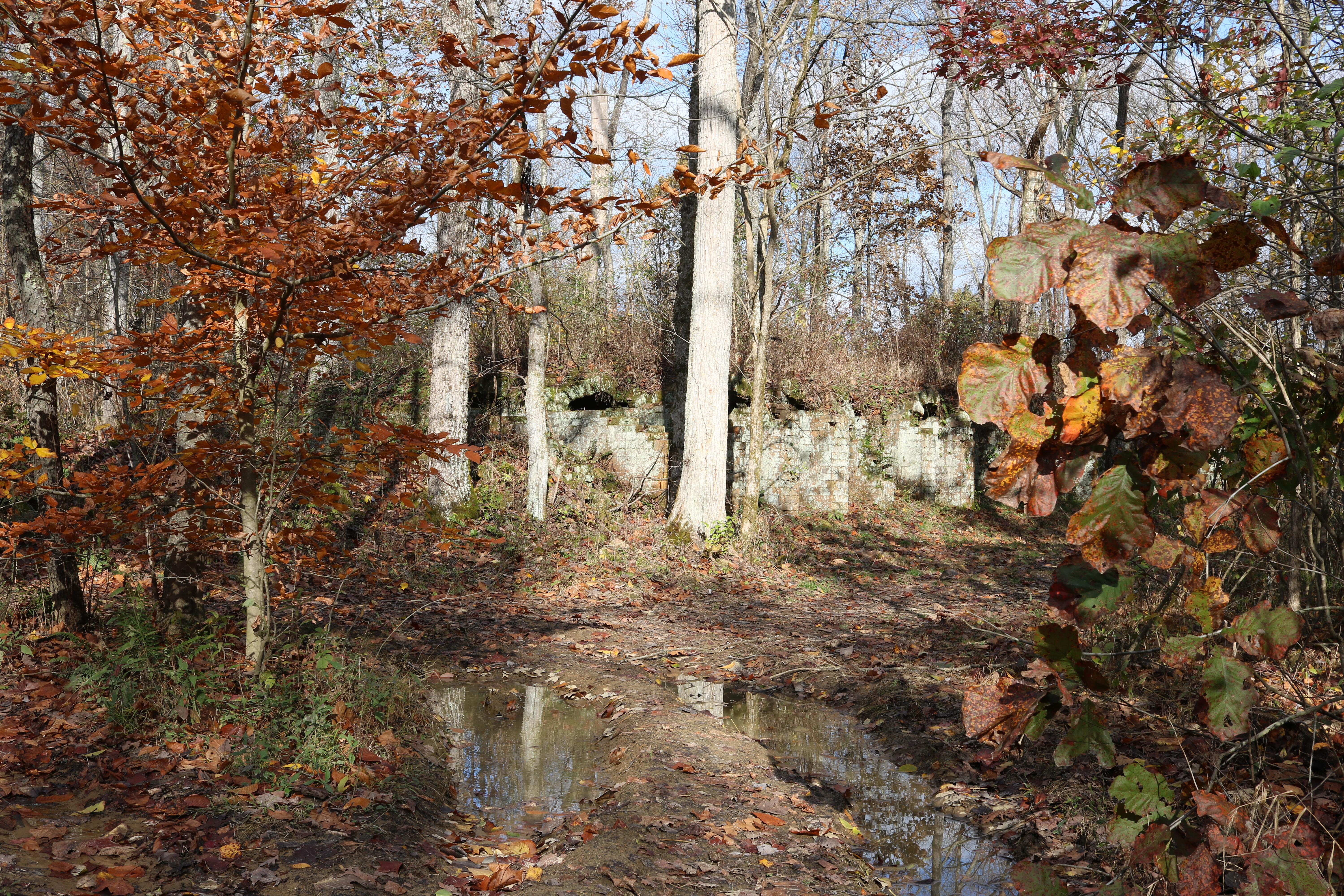 Vinton Furnace State Experimental Forest State Park