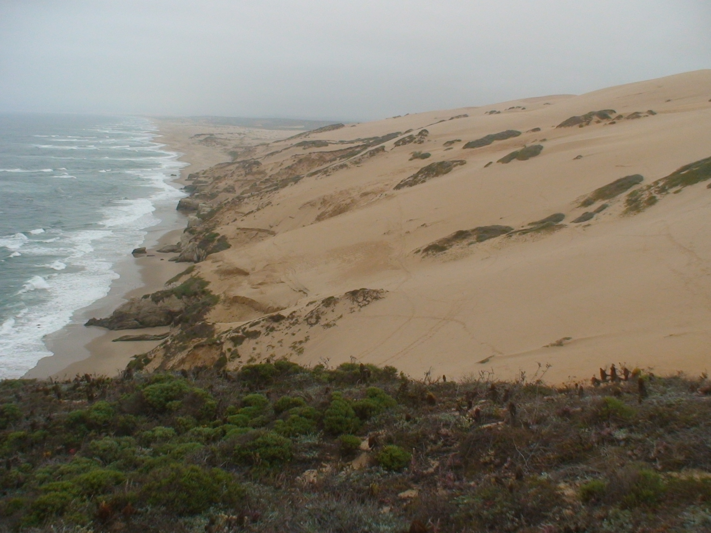 Oceano Dunes State Vehicular Recreation Area State Park