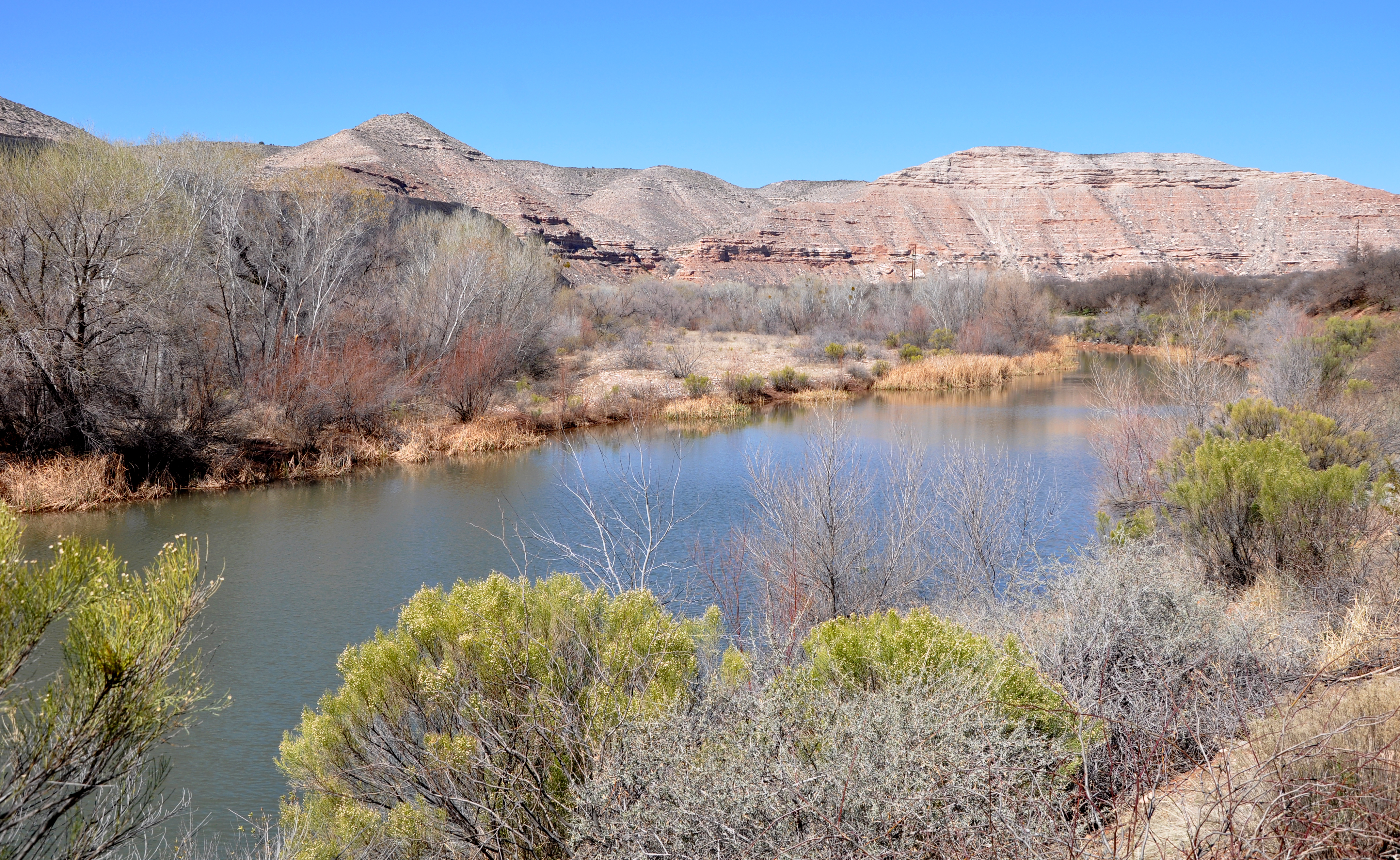 Verde River Greenway State Natural Area State Park