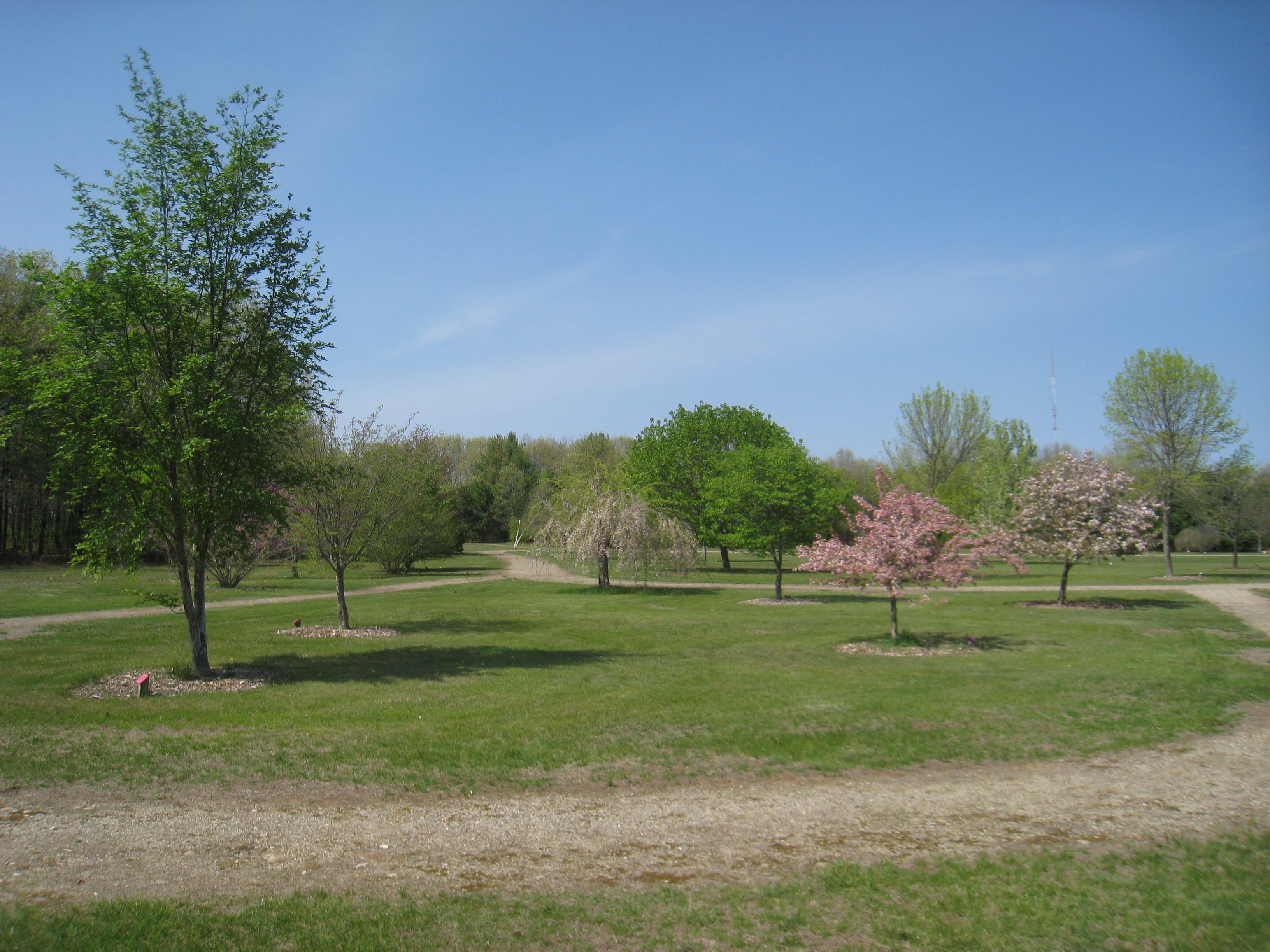 Urban Forestry Center State Park