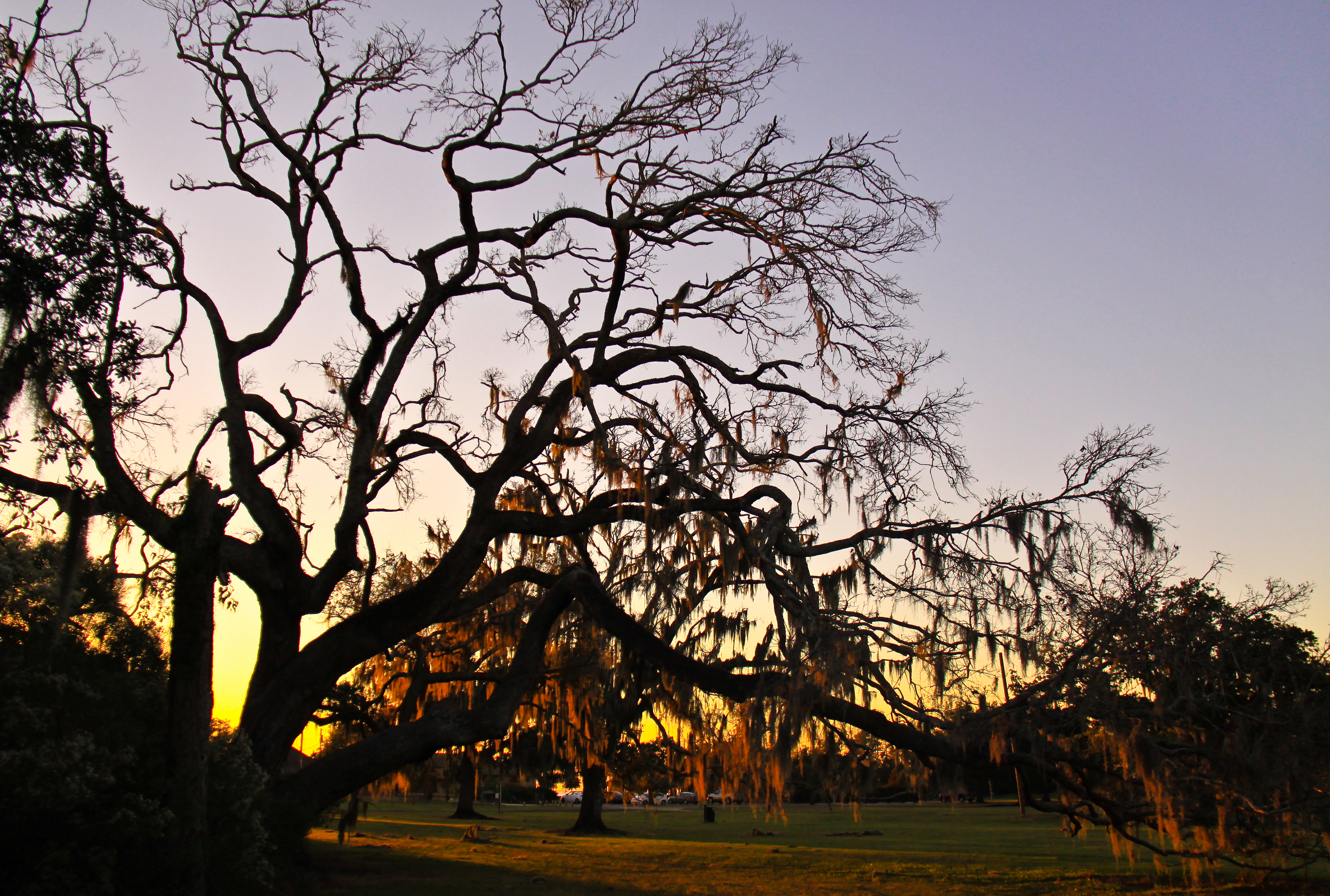 Fontainebleau State Park