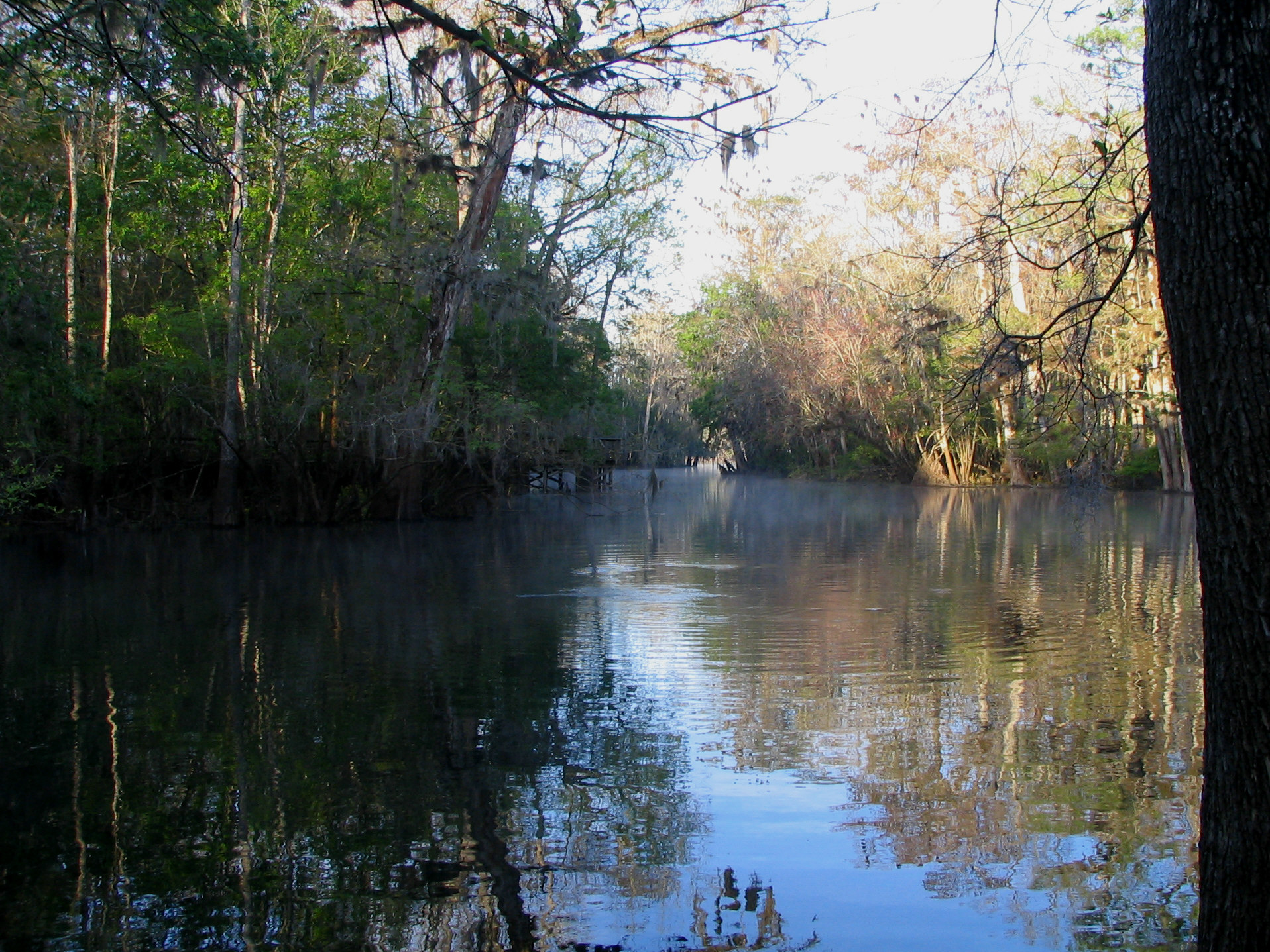 Manatee Springs State Park