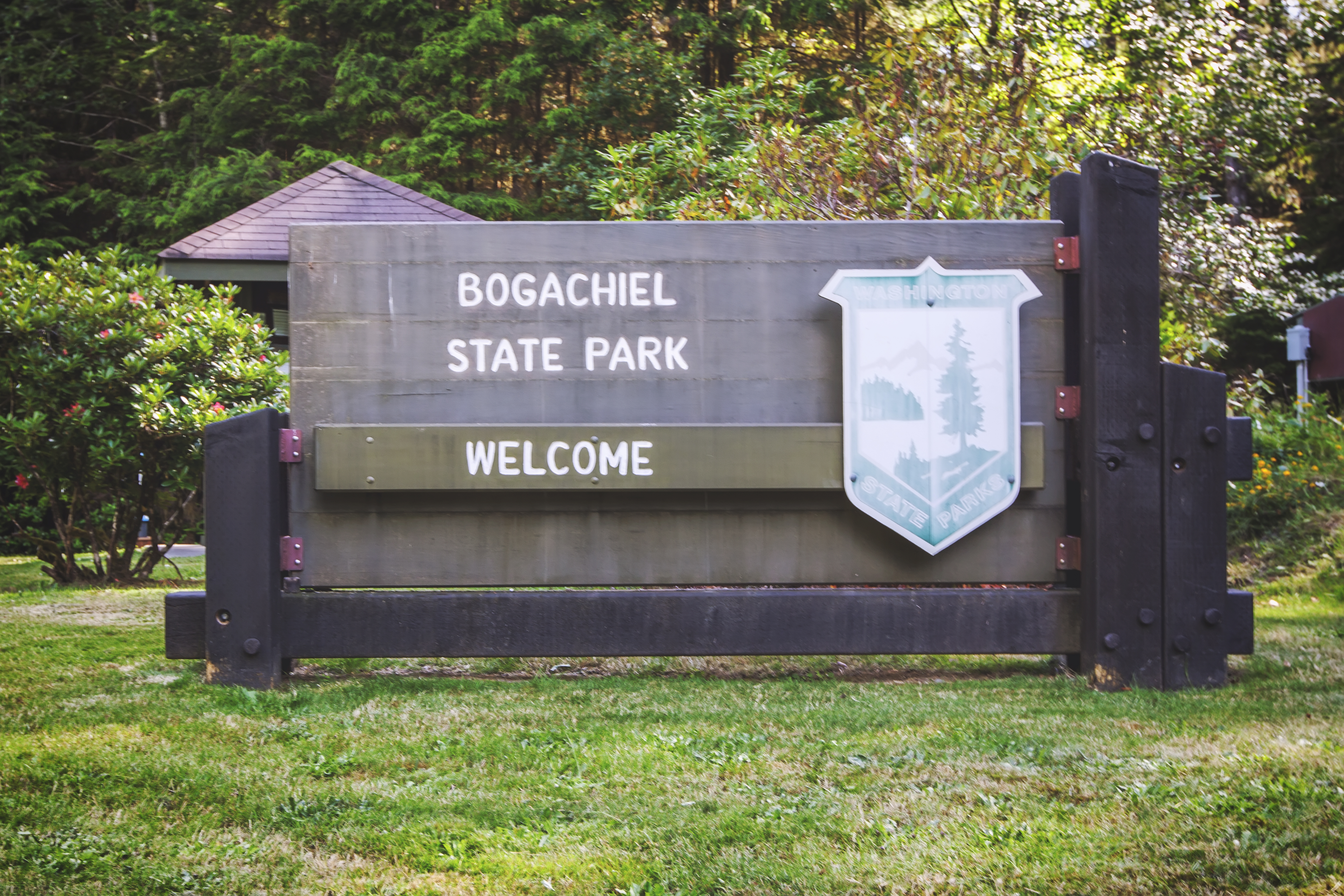 Bogachiel State Park