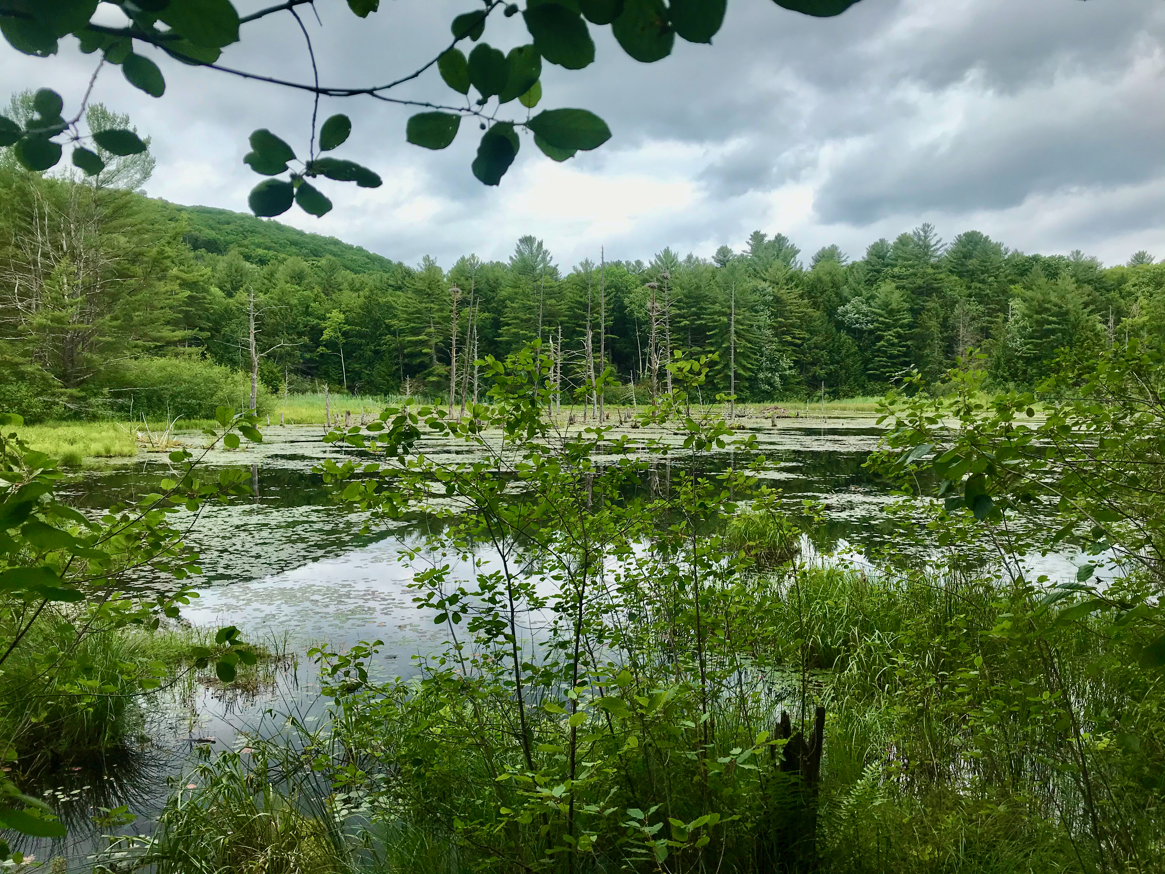 Sunnybrook State Park