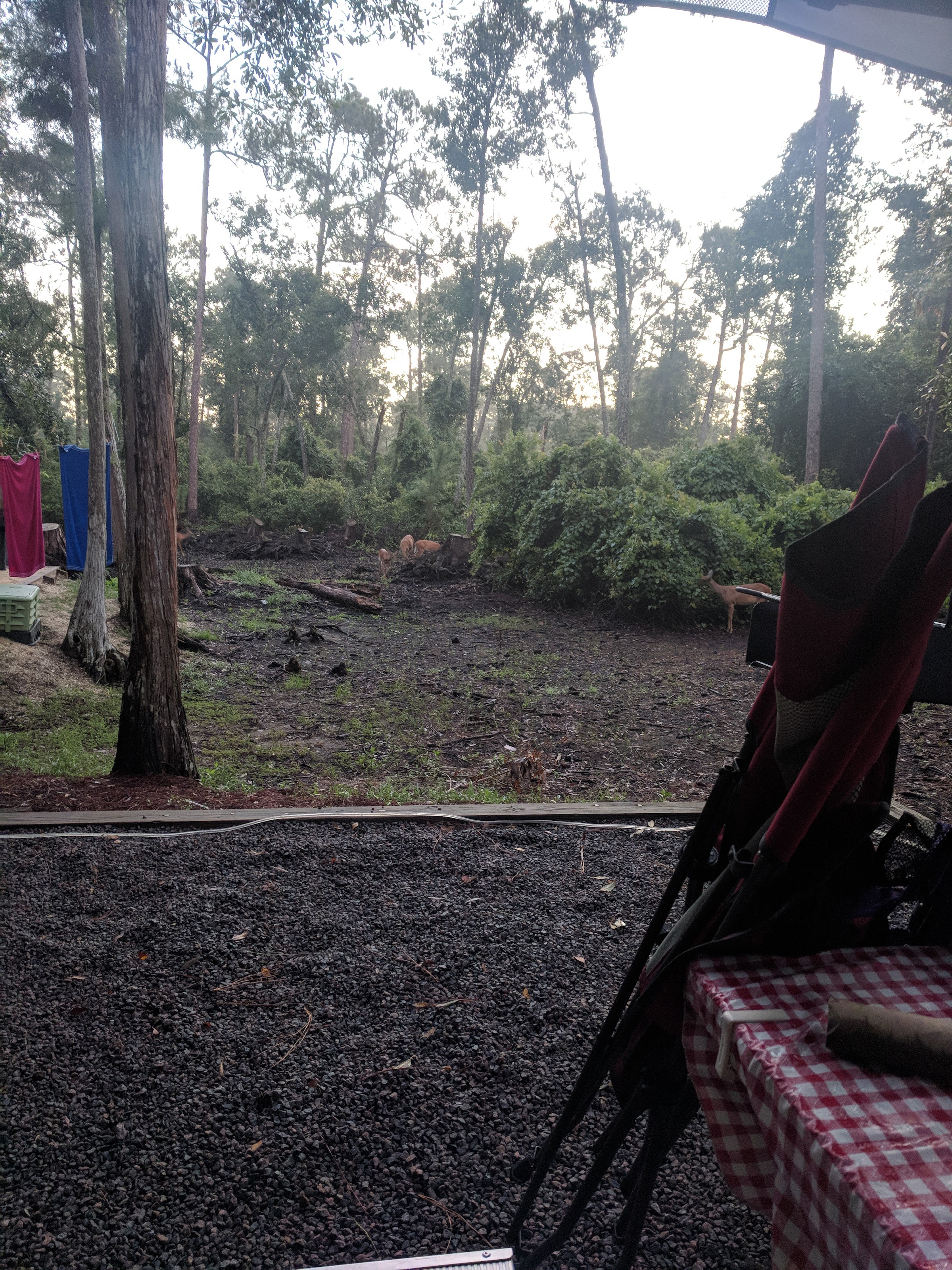 Vista Blvd & Fort Wilderness Trail