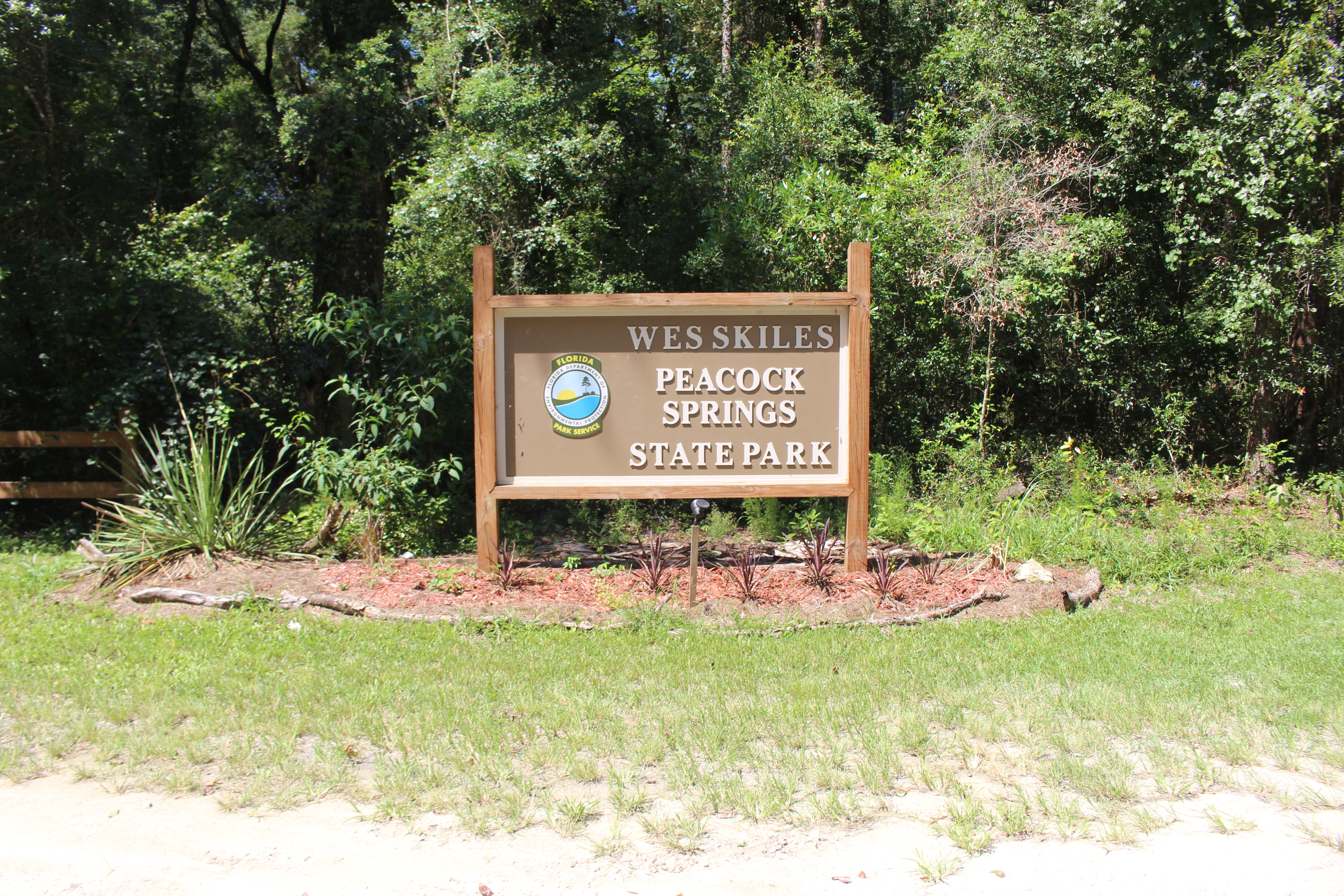 Wes Skiles Peacock Springs State Park