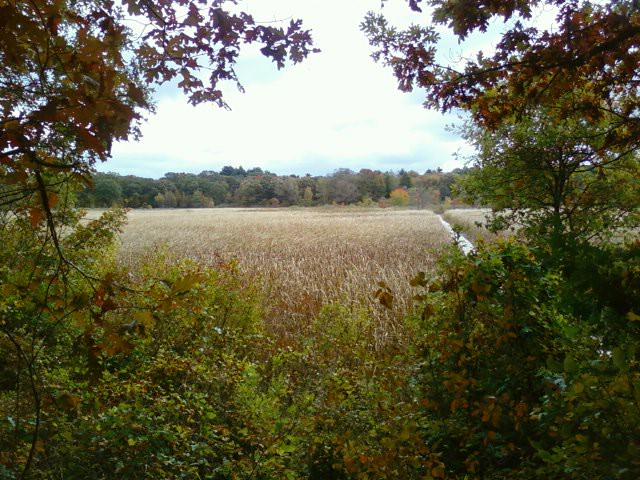 Cutler Park Reservation State Park